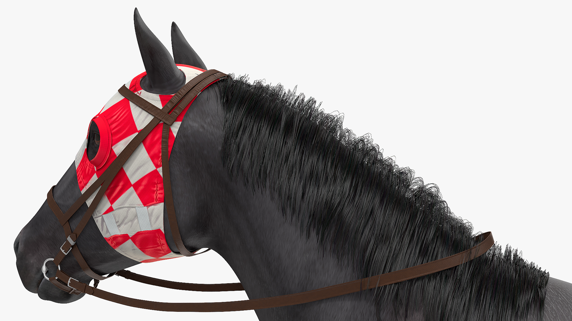 3D Black Racehorse Fur Rigged