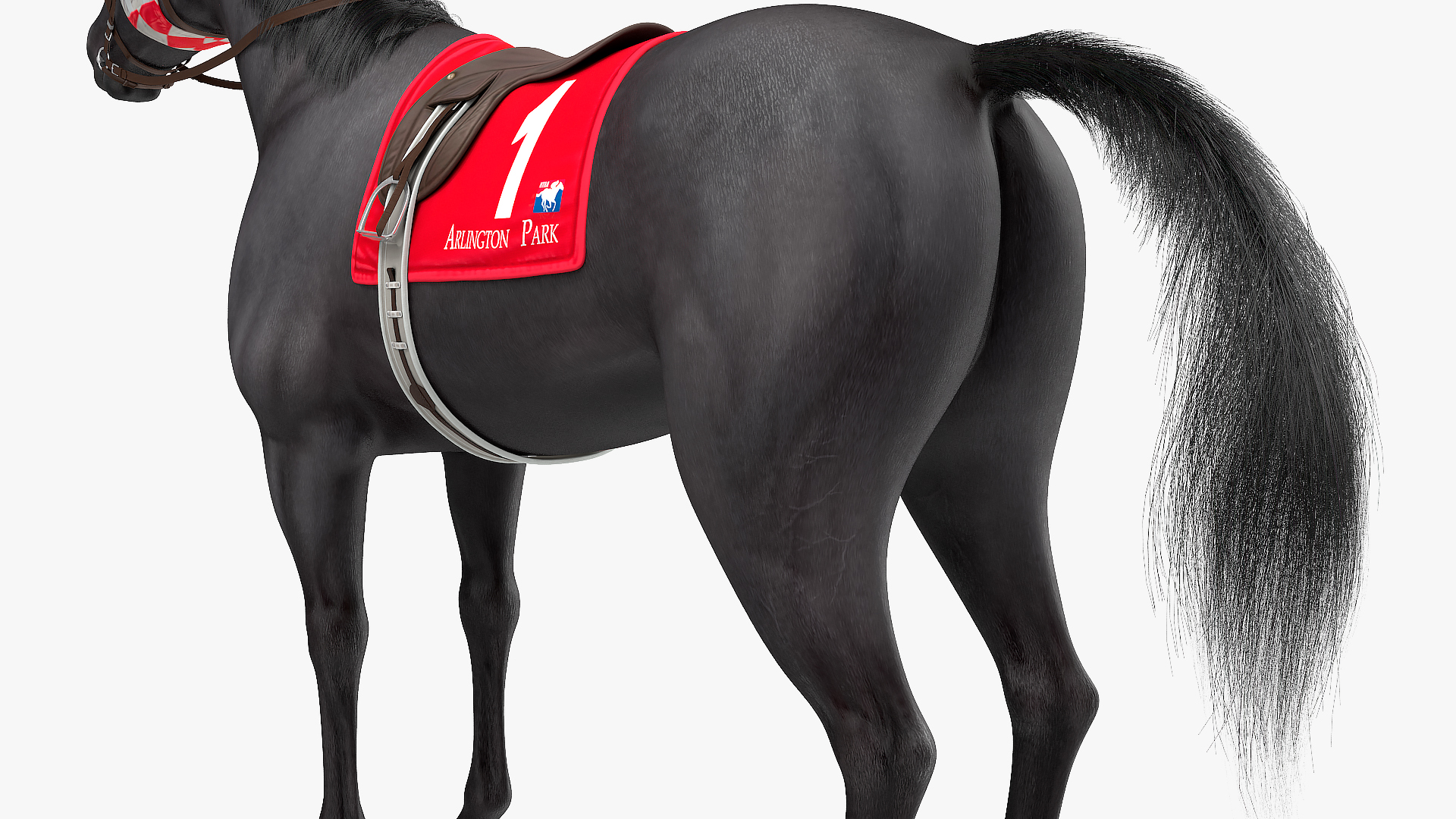 3D Black Racehorse Fur Rigged