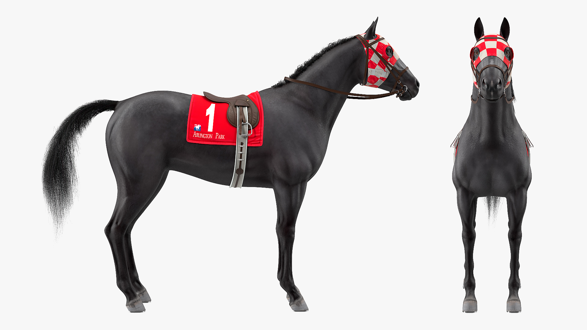 3D Black Racehorse Fur Rigged