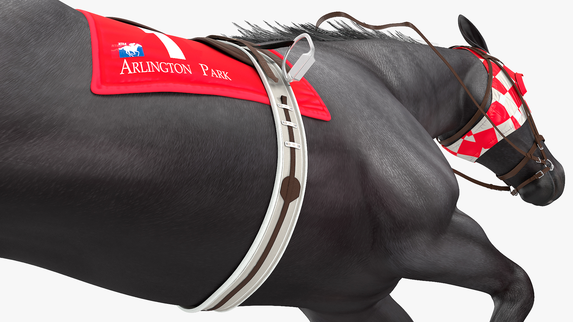 3D Black Racehorse Fur Rigged