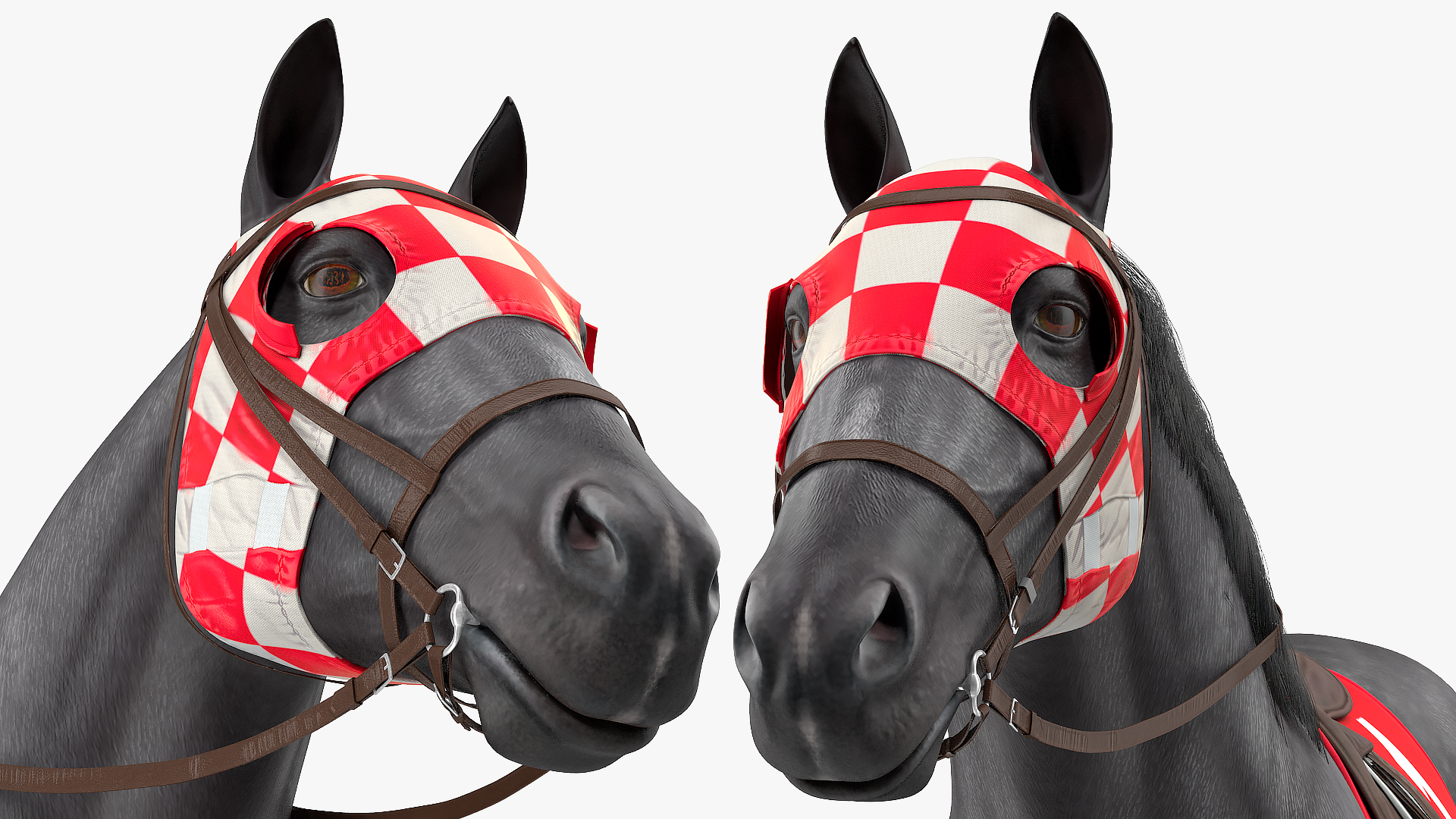 3D Black Racehorse Fur Rigged