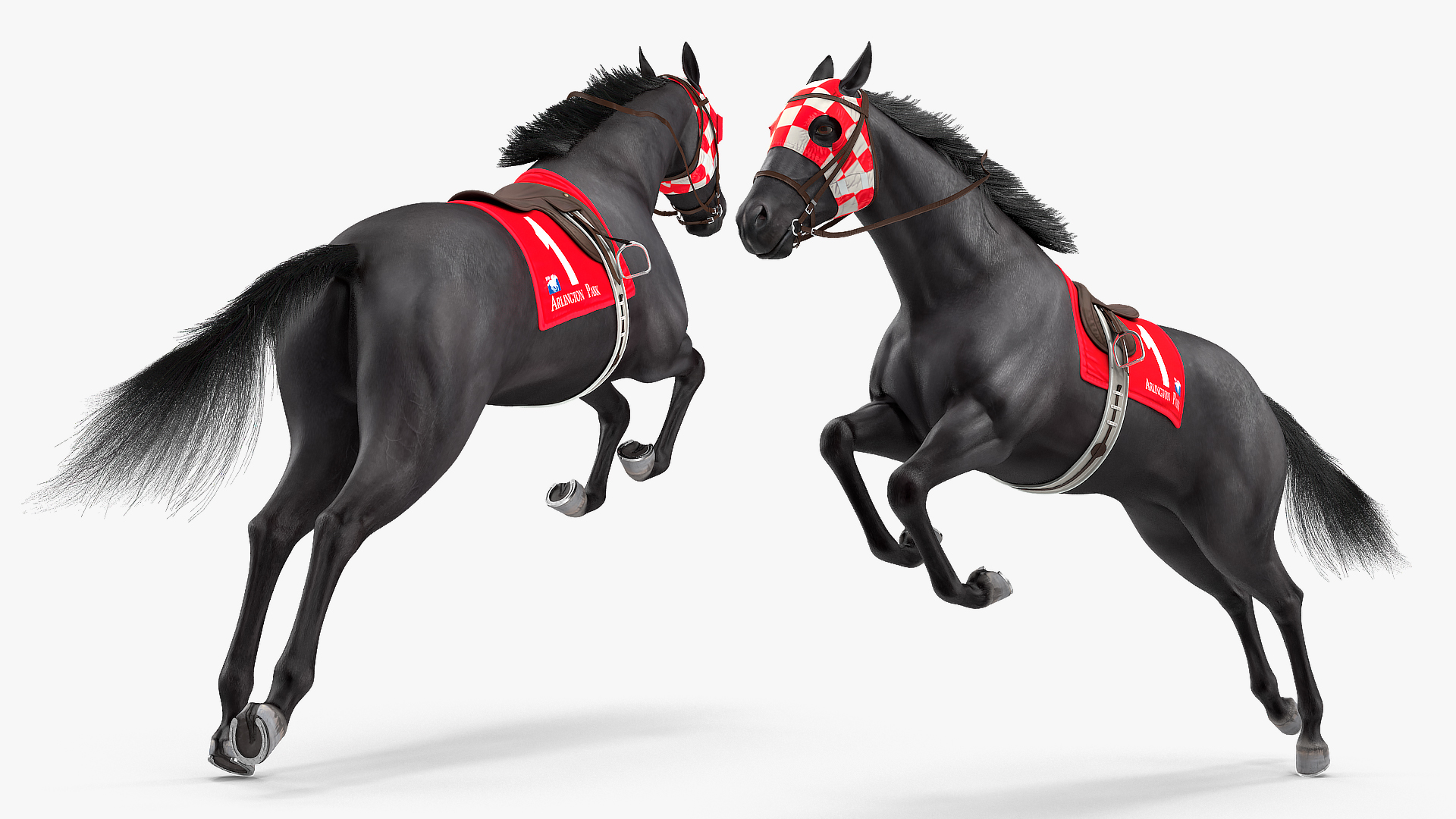 3D Black Racehorse Fur Rigged