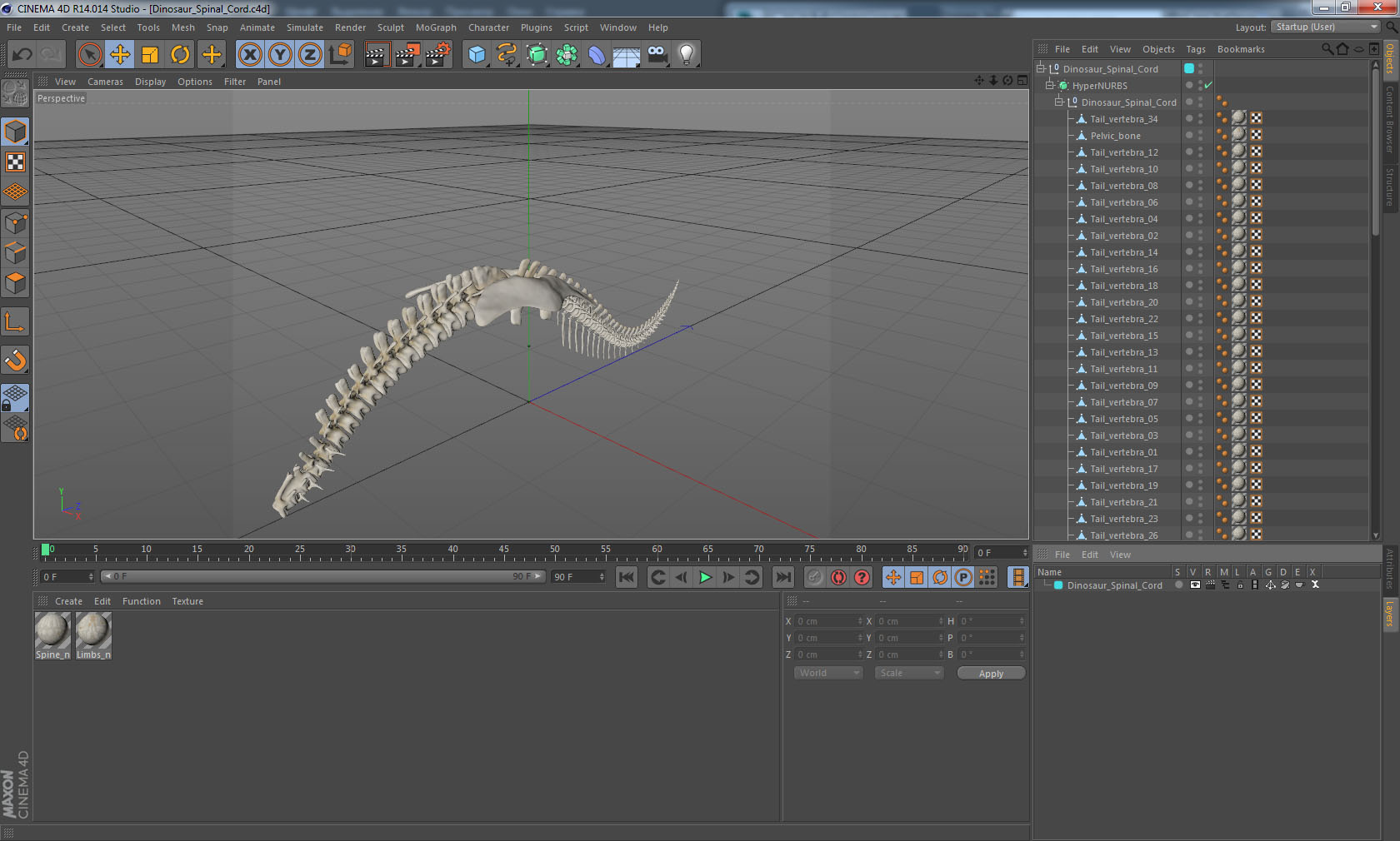 3D model Dinosaur Spinal Cord