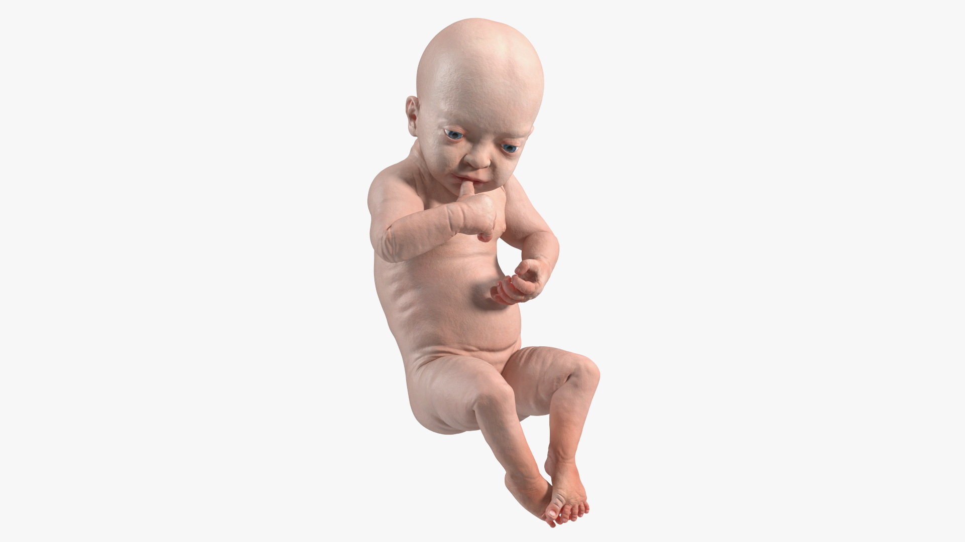 3D model Baby Boy at 8 Month Rigged for Cinema 4D