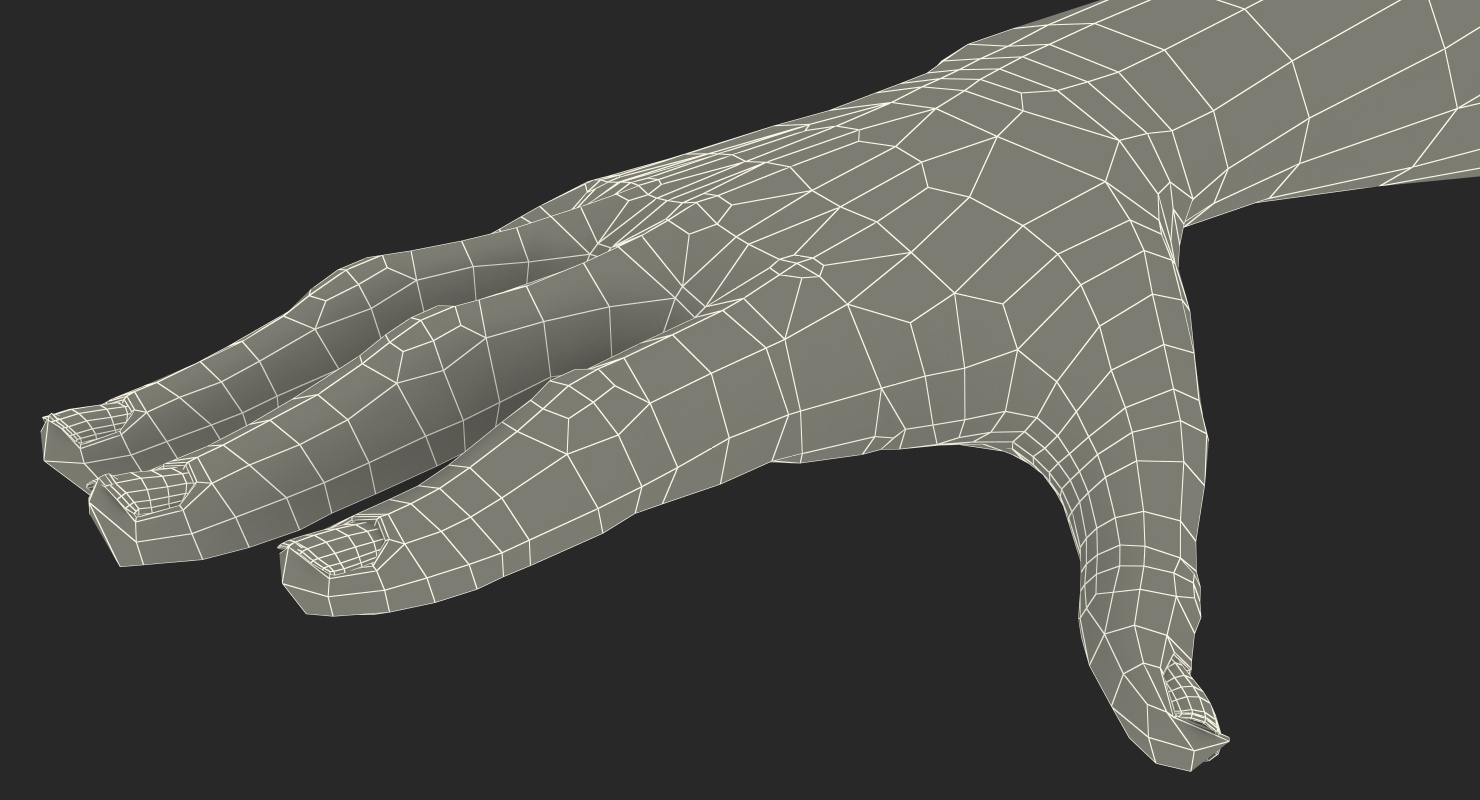 3D Mongoloid Female Hand Short Nails model