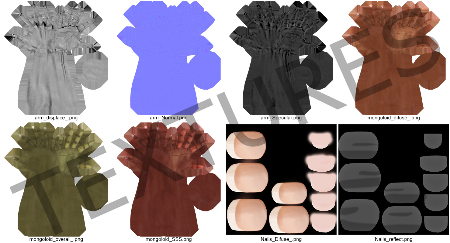 3D Mongoloid Female Hand Short Nails model
