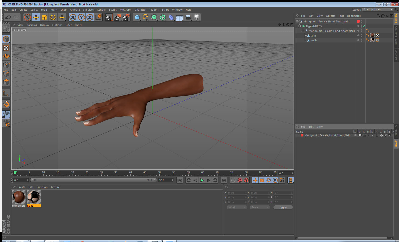 3D Mongoloid Female Hand Short Nails model