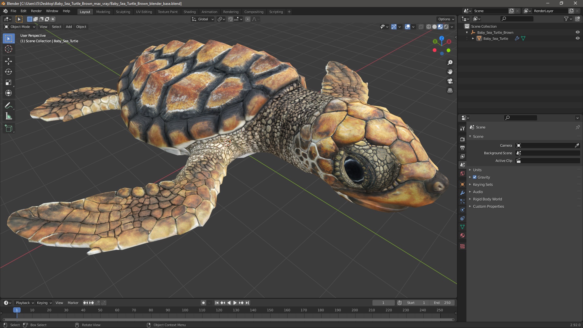 3D Baby Sea Turtle Brown
