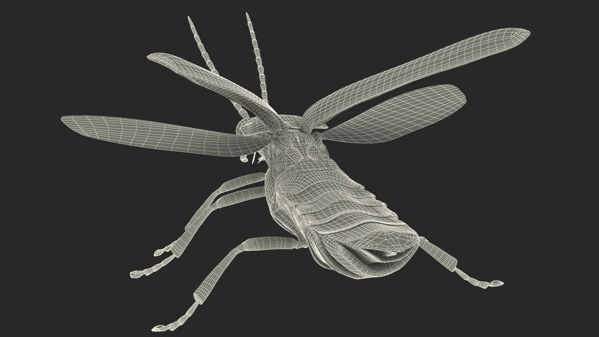Big Dipper Firefly Basic Pose 3D model