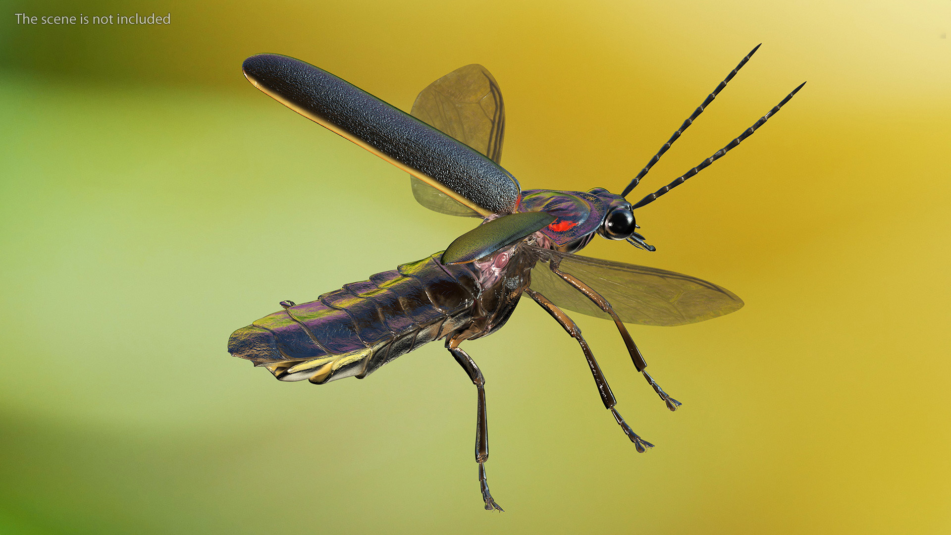 Big Dipper Firefly Basic Pose 3D model