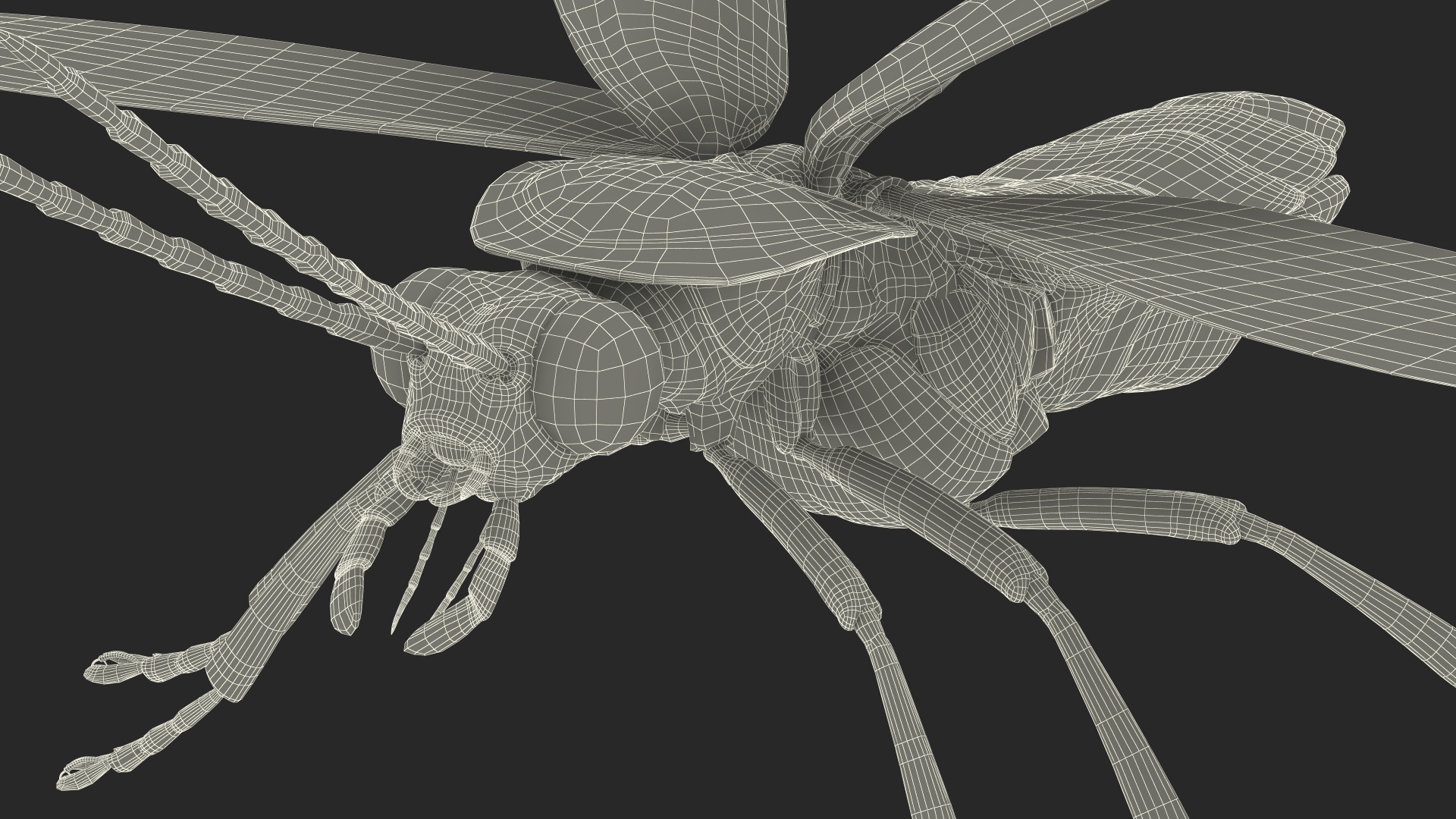 Big Dipper Firefly Basic Pose 3D model