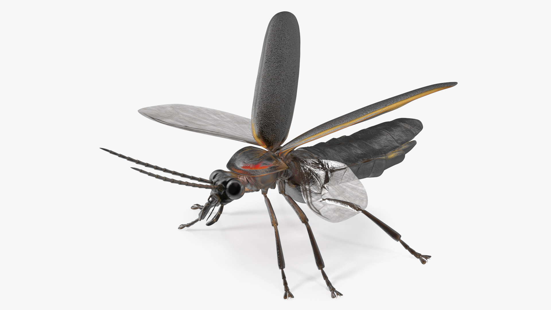 Big Dipper Firefly Basic Pose 3D model
