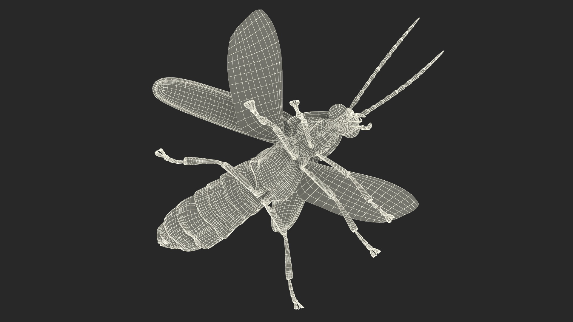 Big Dipper Firefly Basic Pose 3D model