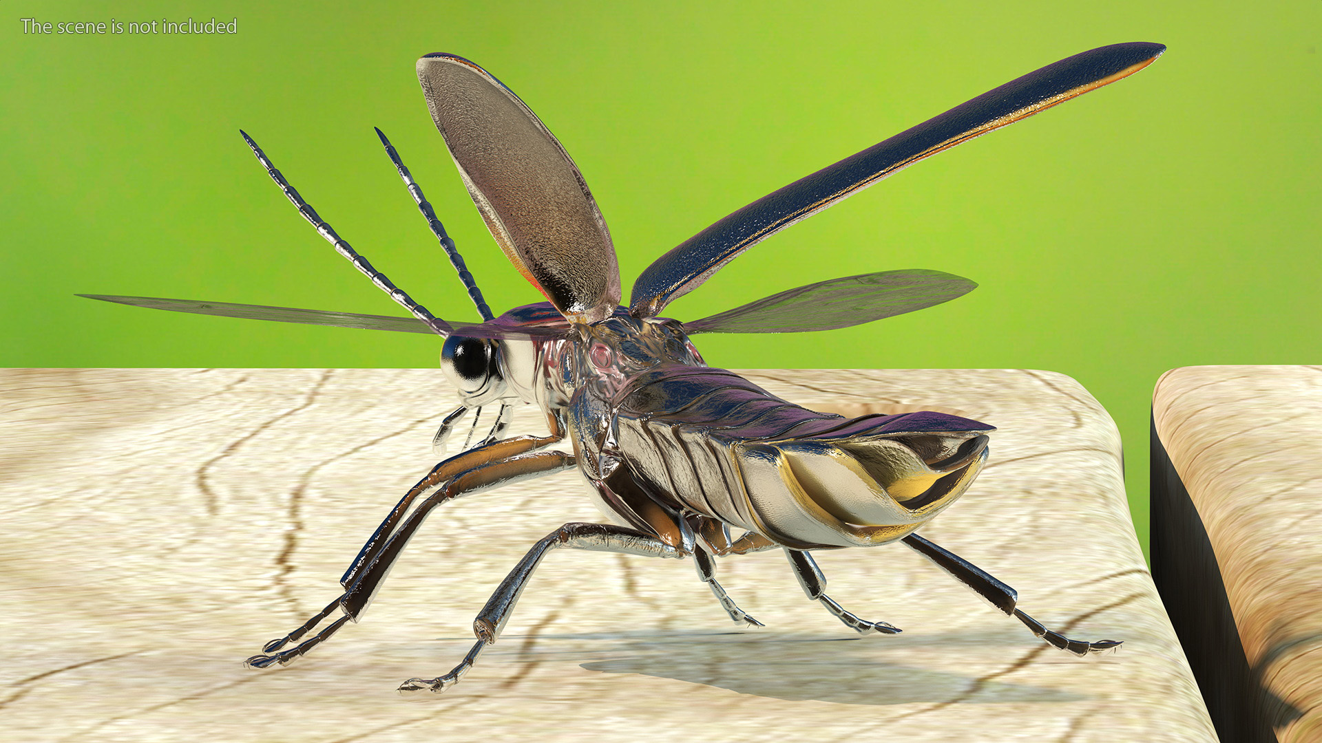 Big Dipper Firefly Basic Pose 3D model