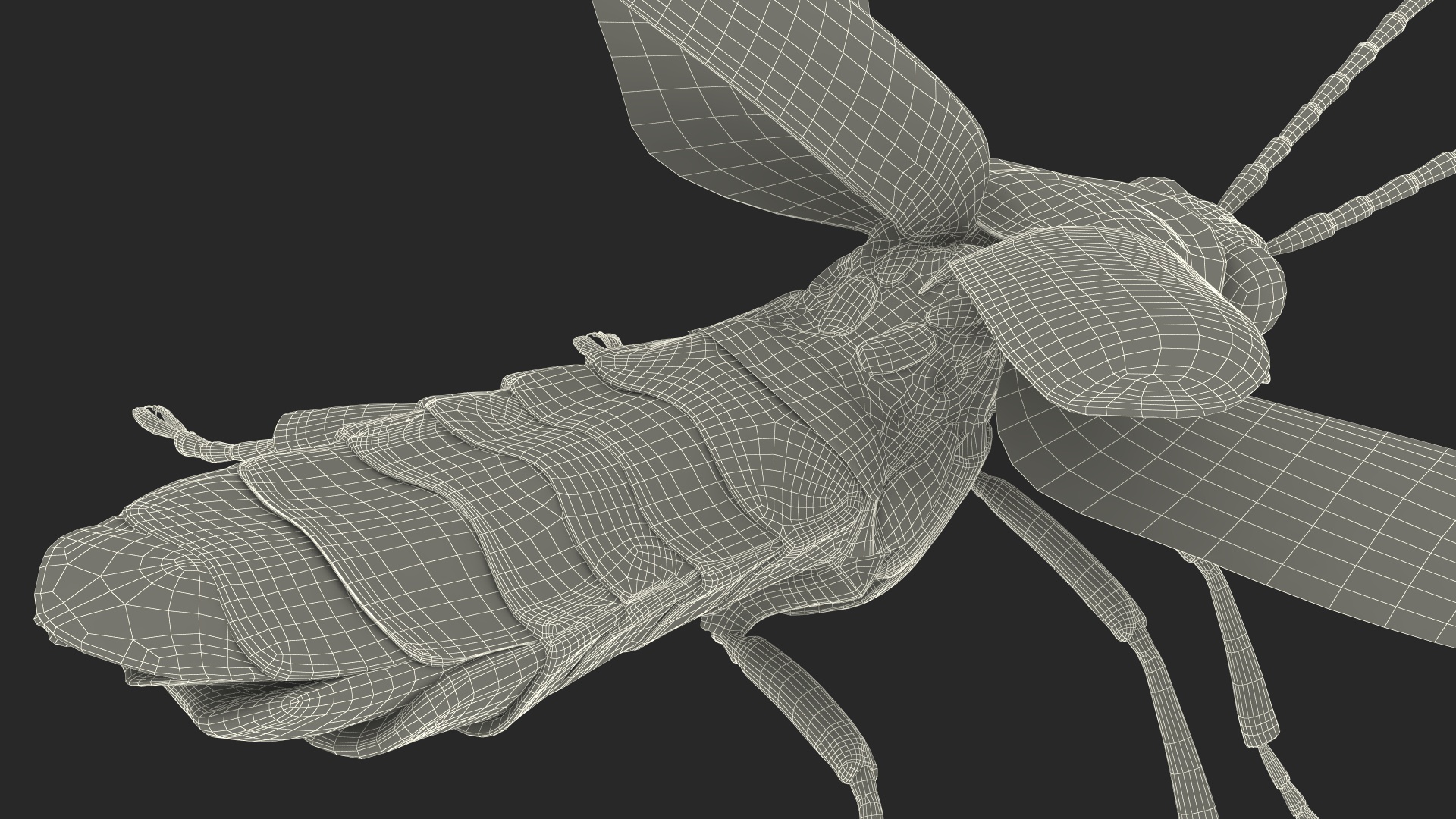 Big Dipper Firefly Basic Pose 3D model