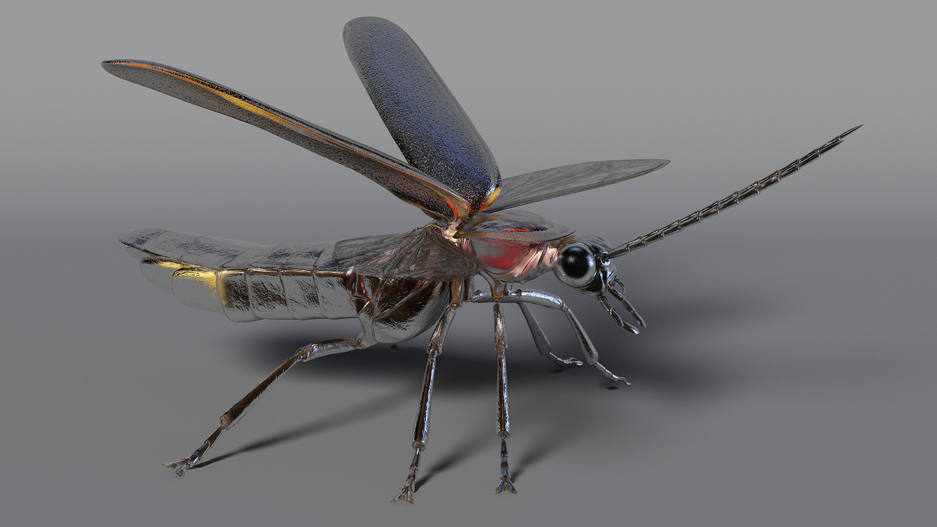 Big Dipper Firefly Basic Pose 3D model