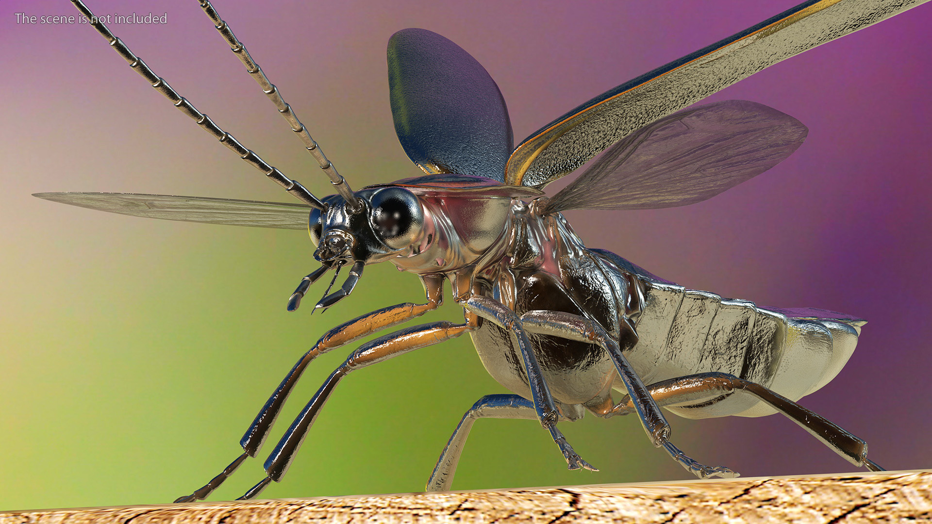 Big Dipper Firefly Basic Pose 3D model