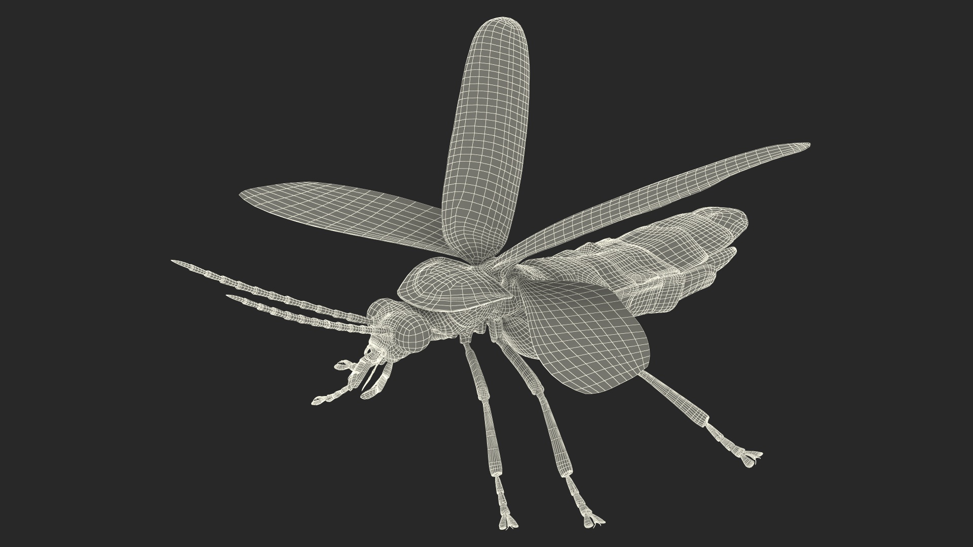 Big Dipper Firefly Basic Pose 3D model