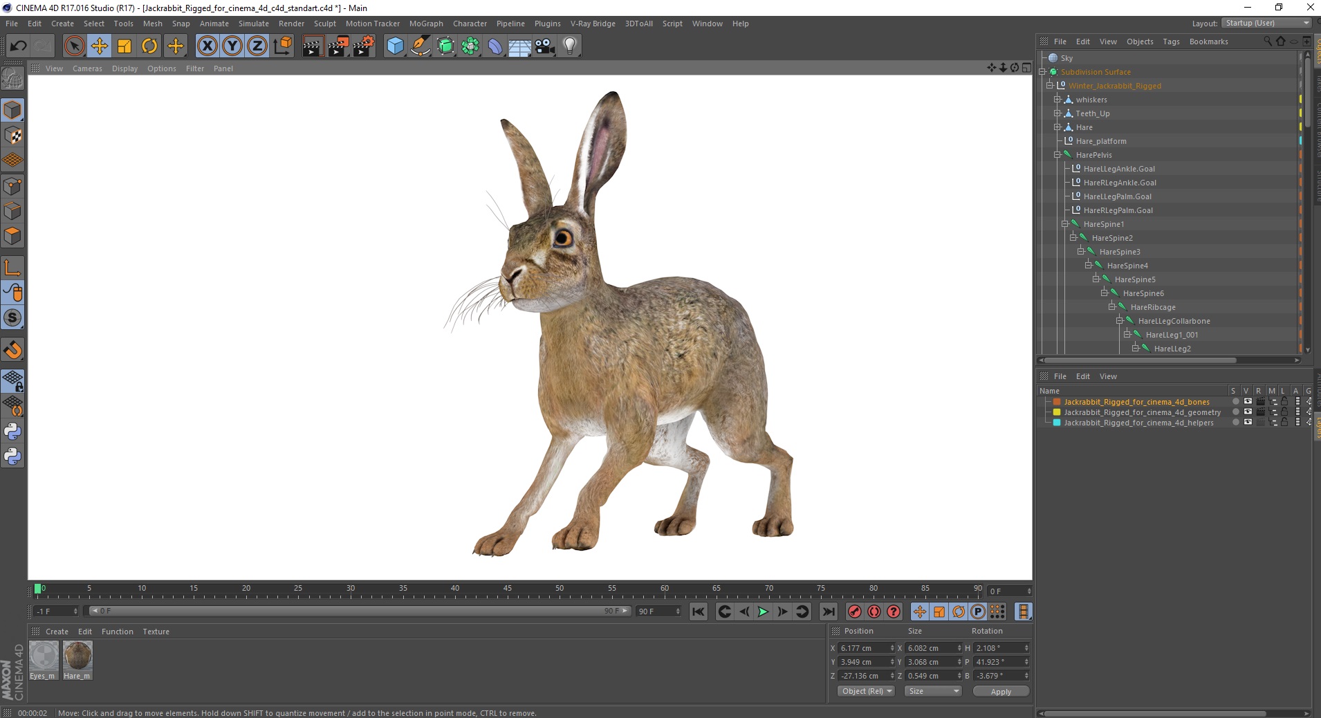 3D Jackrabbit Rigged for Cinema 4D
