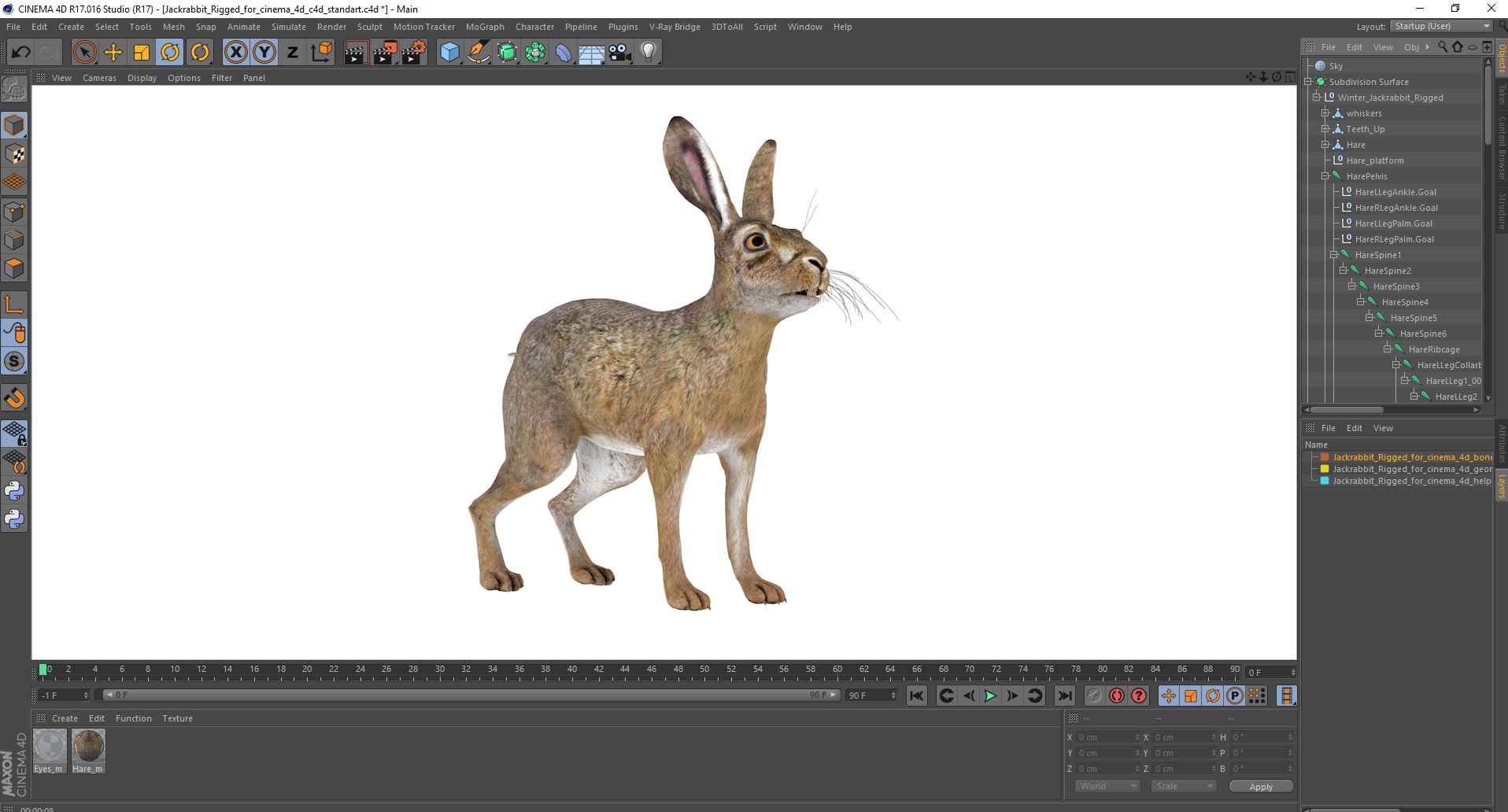 3D Jackrabbit Rigged for Cinema 4D