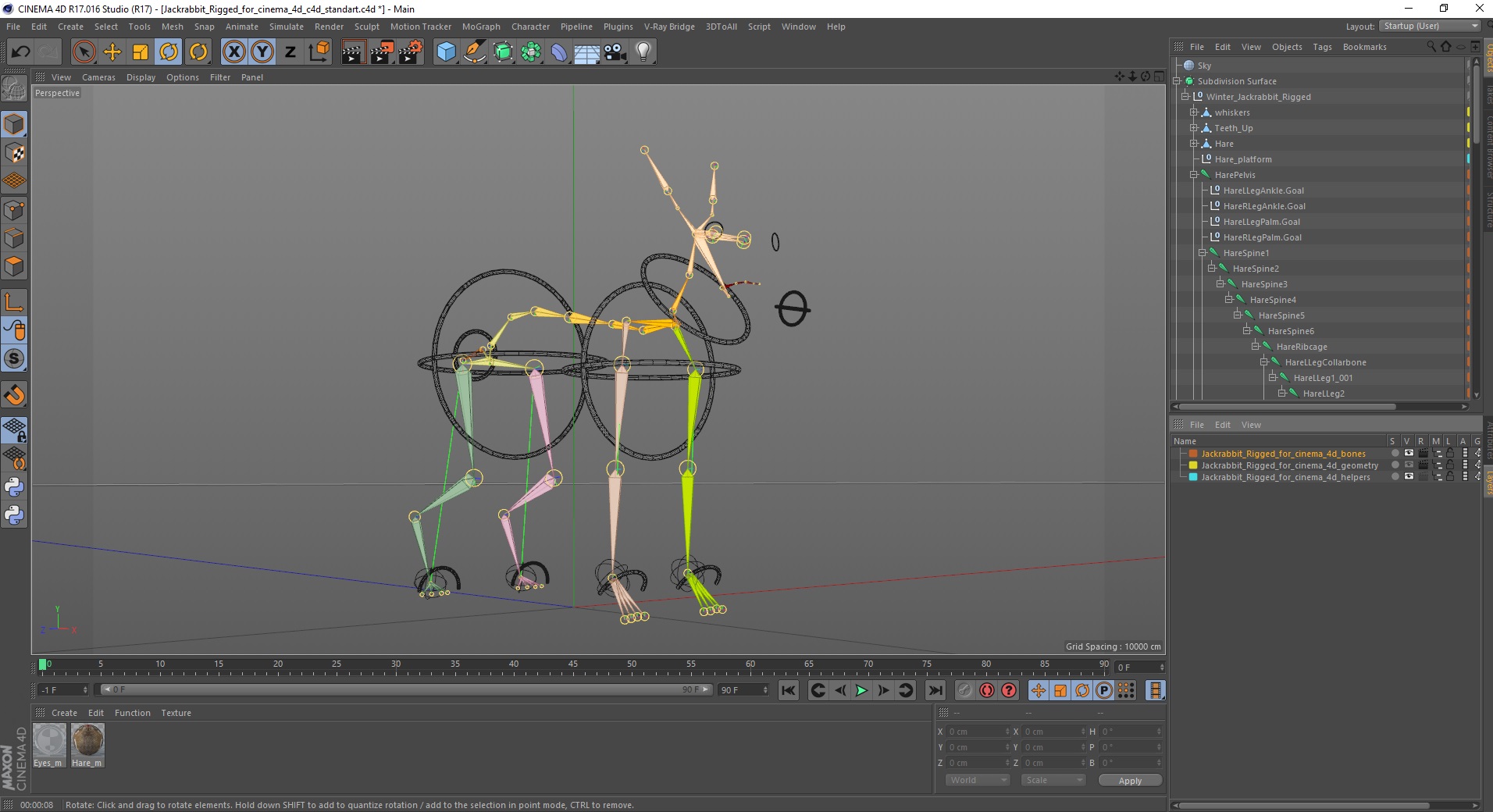 3D Jackrabbit Rigged for Cinema 4D