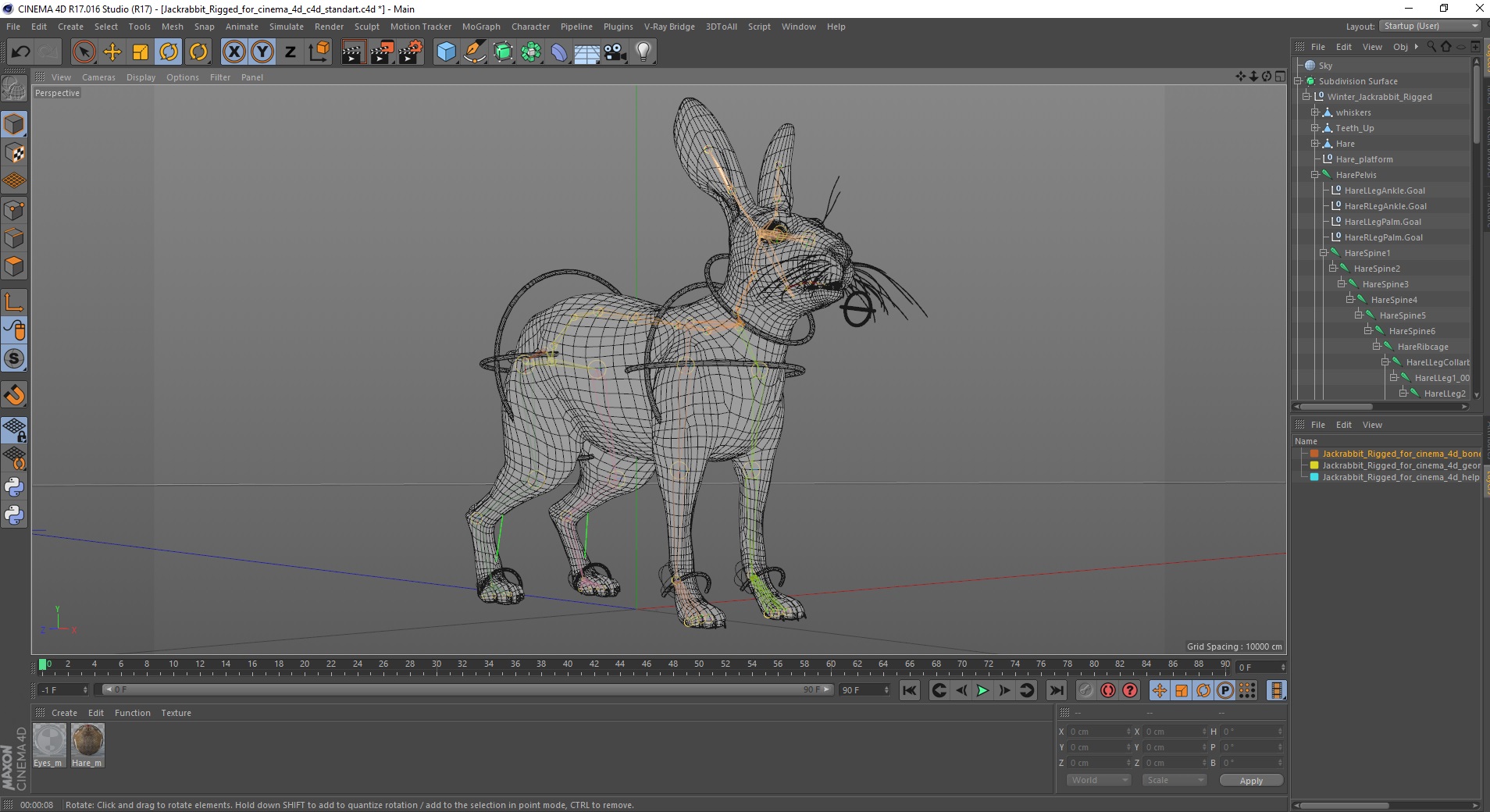 3D Jackrabbit Rigged for Cinema 4D