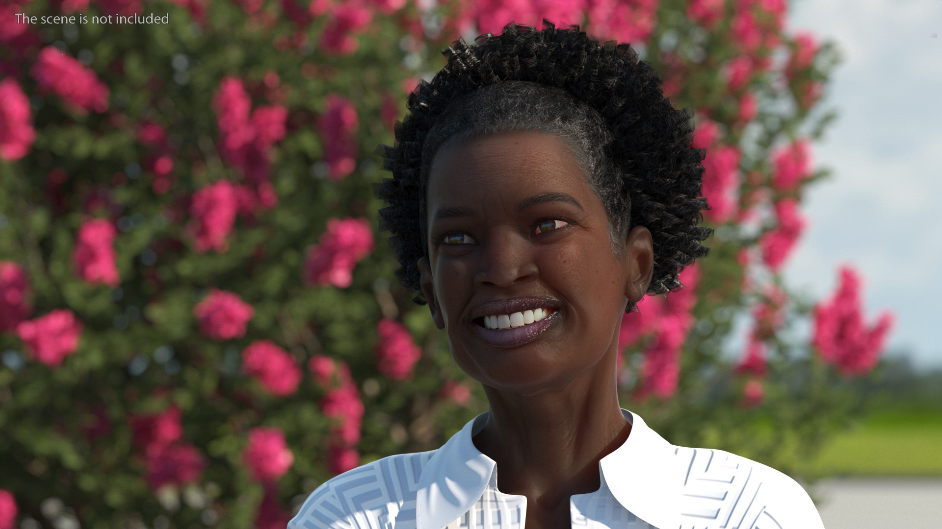 3D model Elderly Afro American Woman Head Smiling