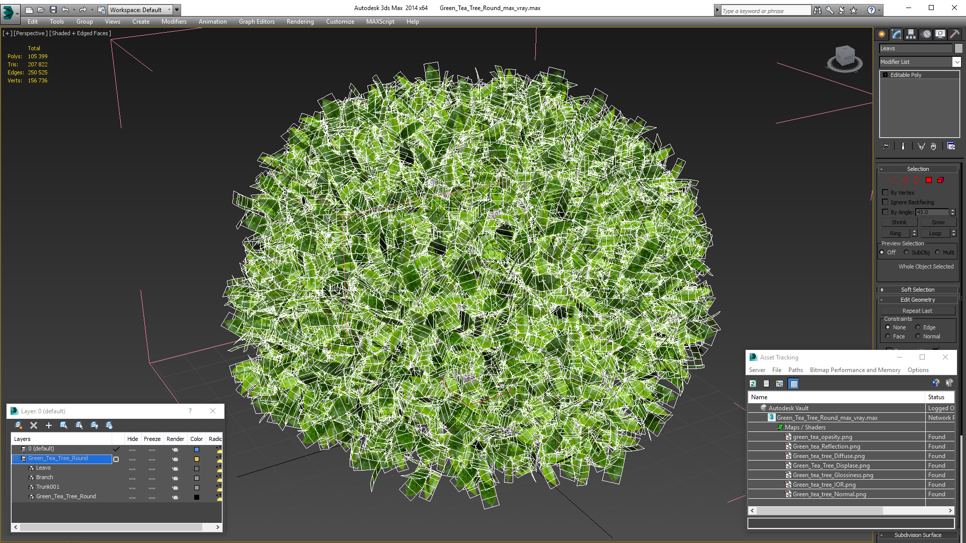 3D model Green Tea Tree Round