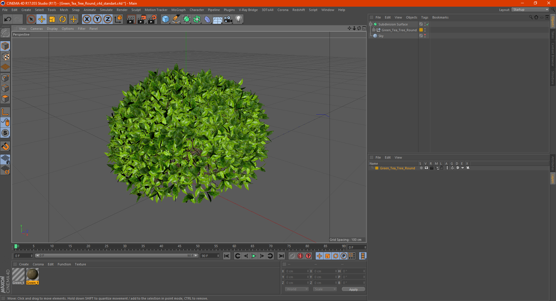 3D model Green Tea Tree Round