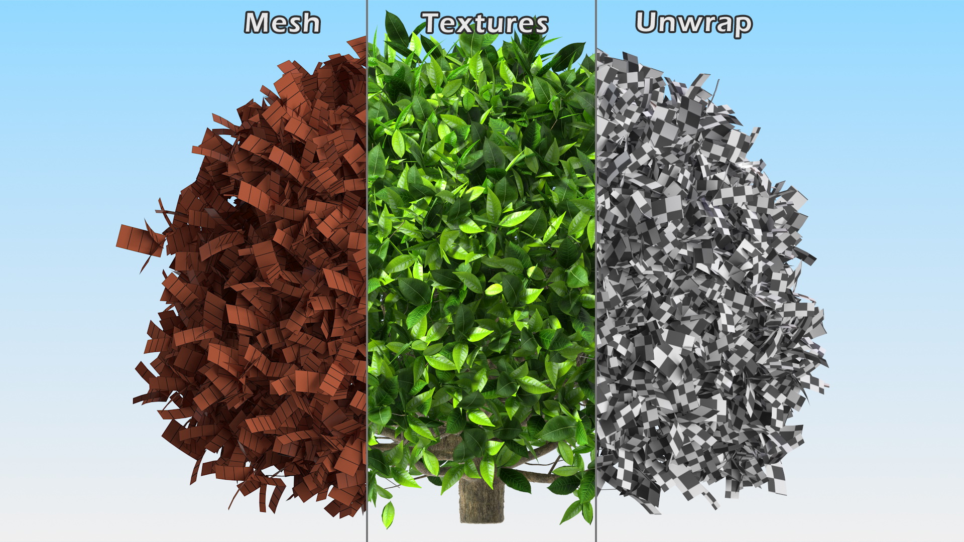 3D model Green Tea Tree Round