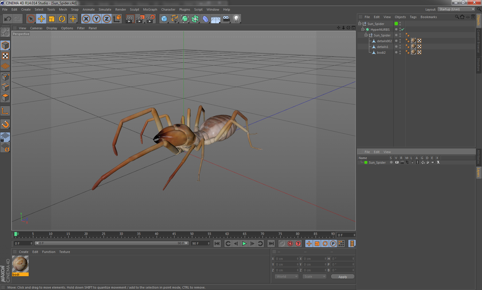 3D model Sun Spider