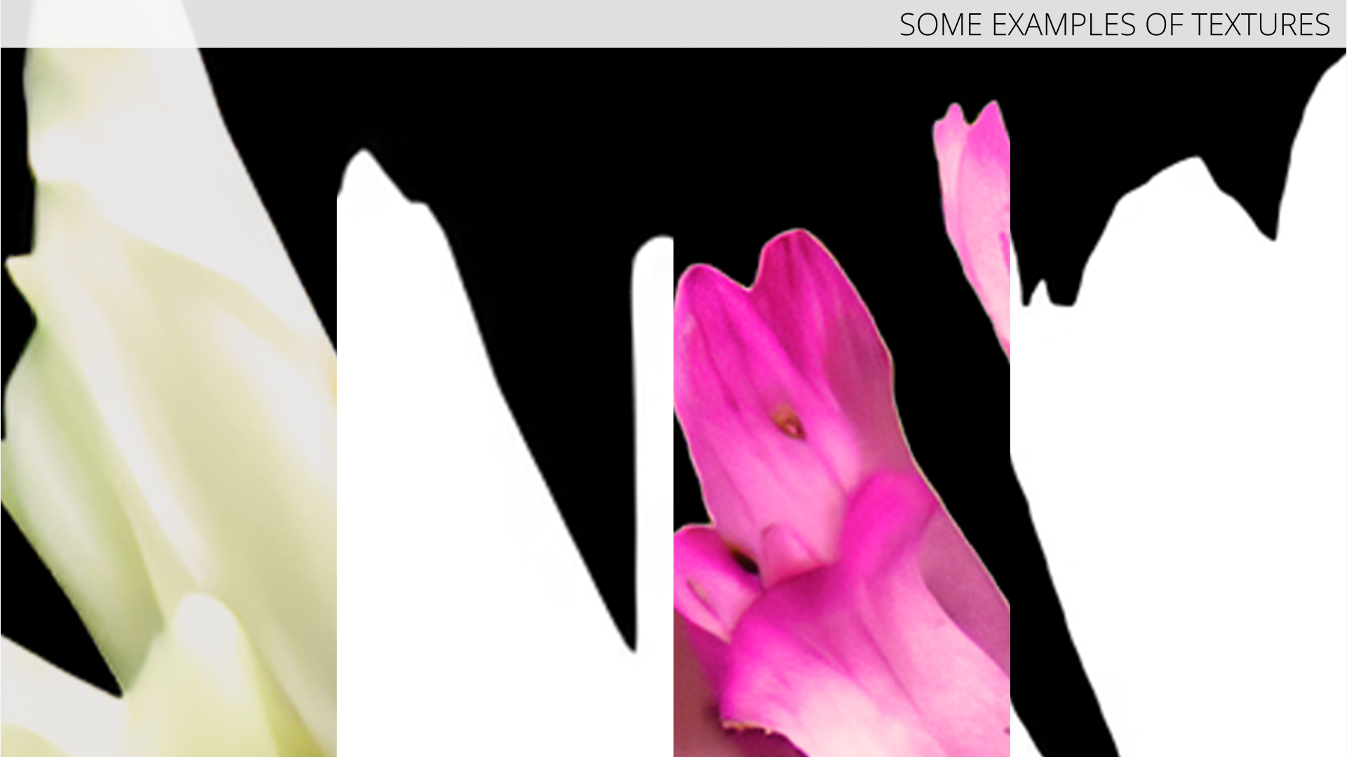 Low Poly Clover Flowers with Leaves Pink White, view 10