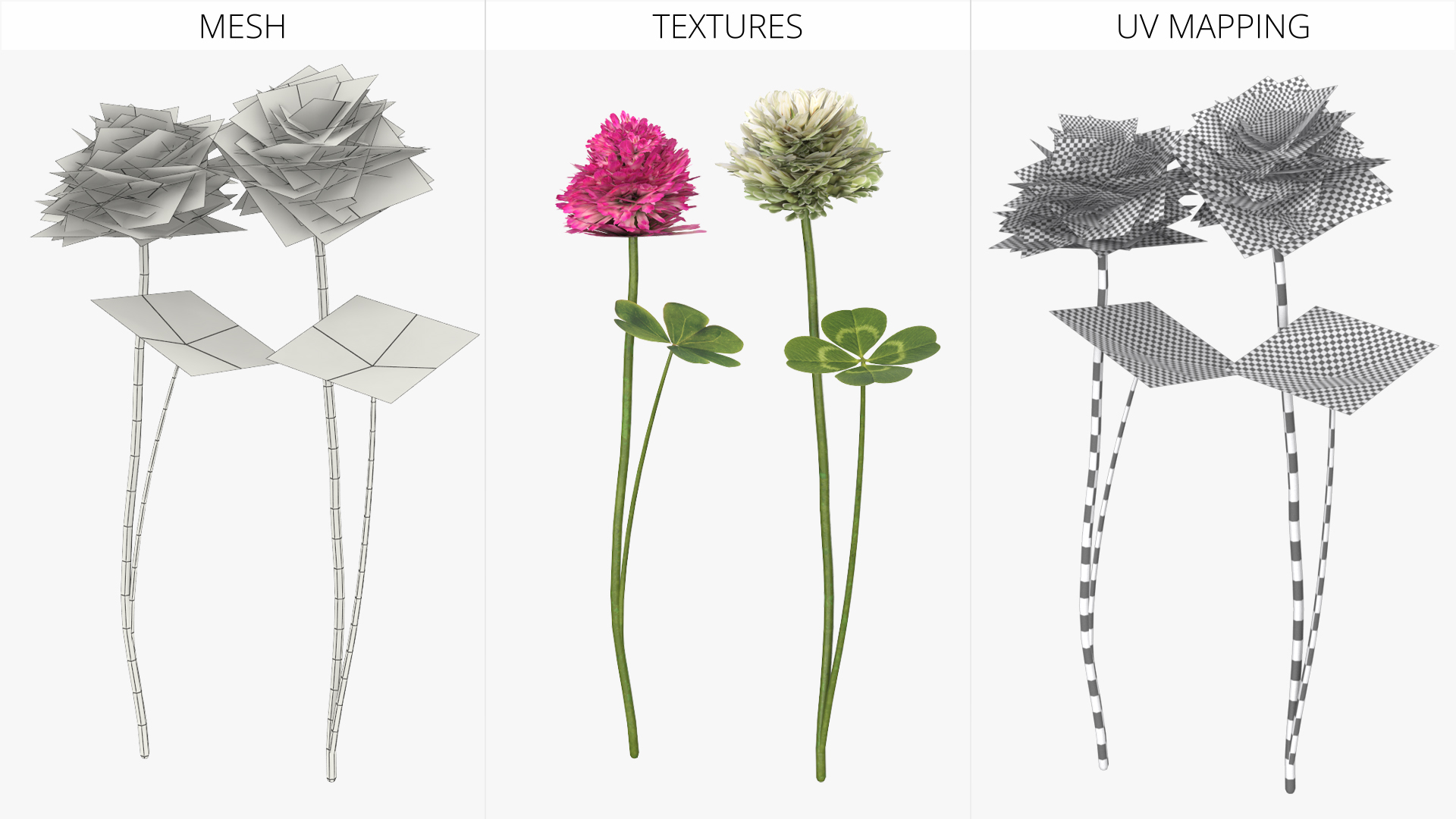 Low Poly Clover Flowers with Leaves Pink White, view 5