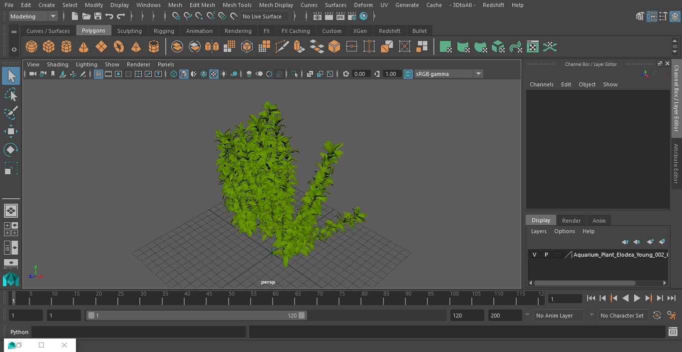 Aquarium Plant Elodea Young 3D