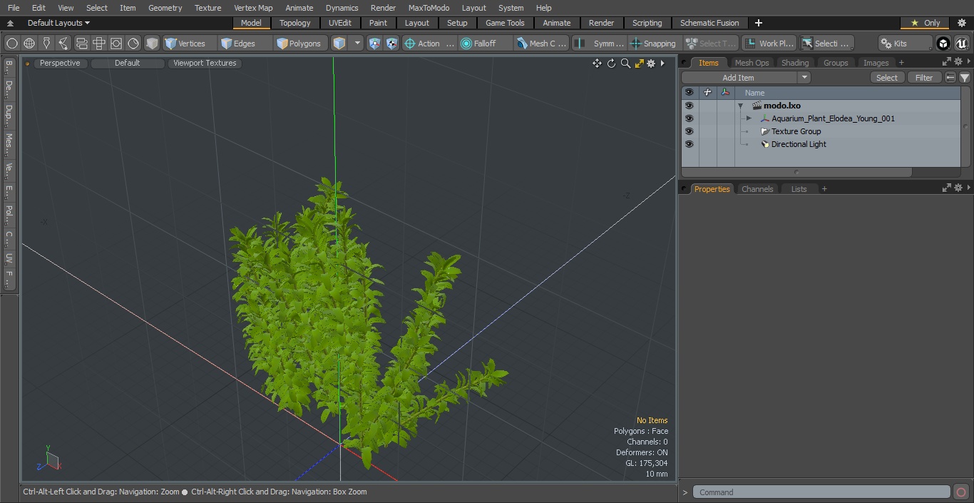Aquarium Plant Elodea Young 3D