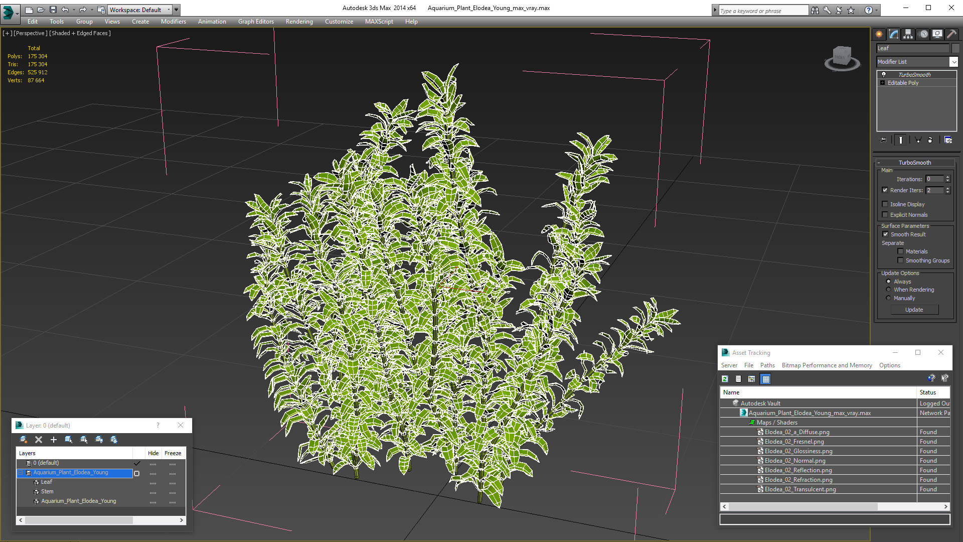 Aquarium Plant Elodea Young 3D