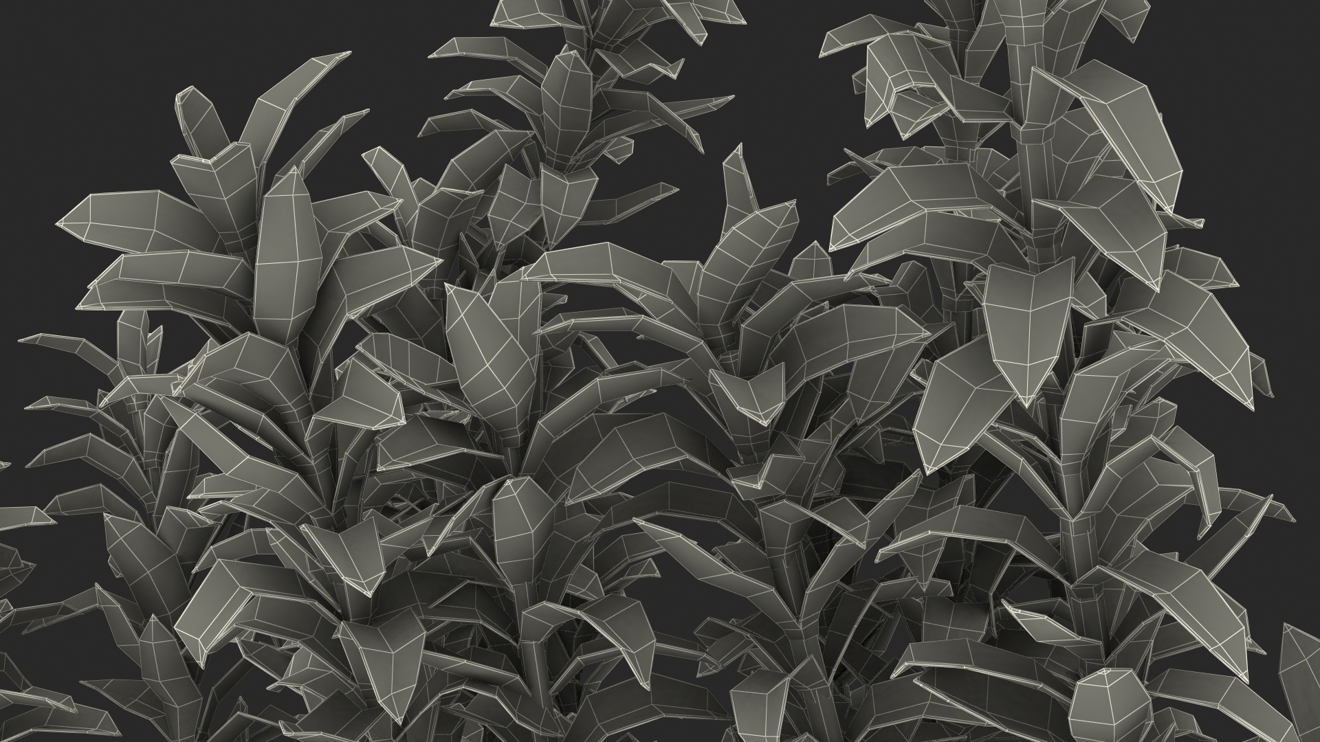 Aquarium Plant Elodea Young 3D