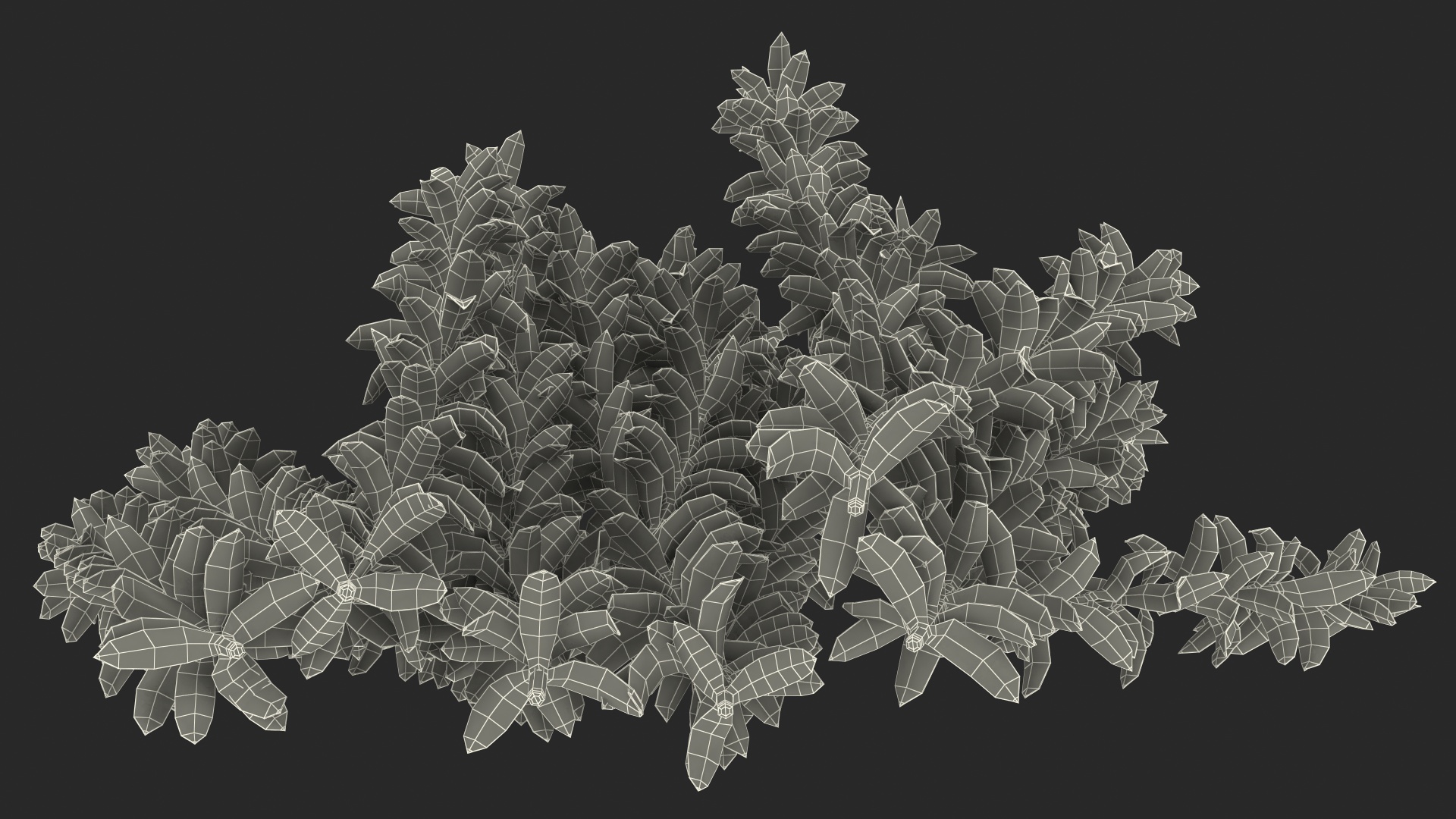 Aquarium Plant Elodea Young 3D