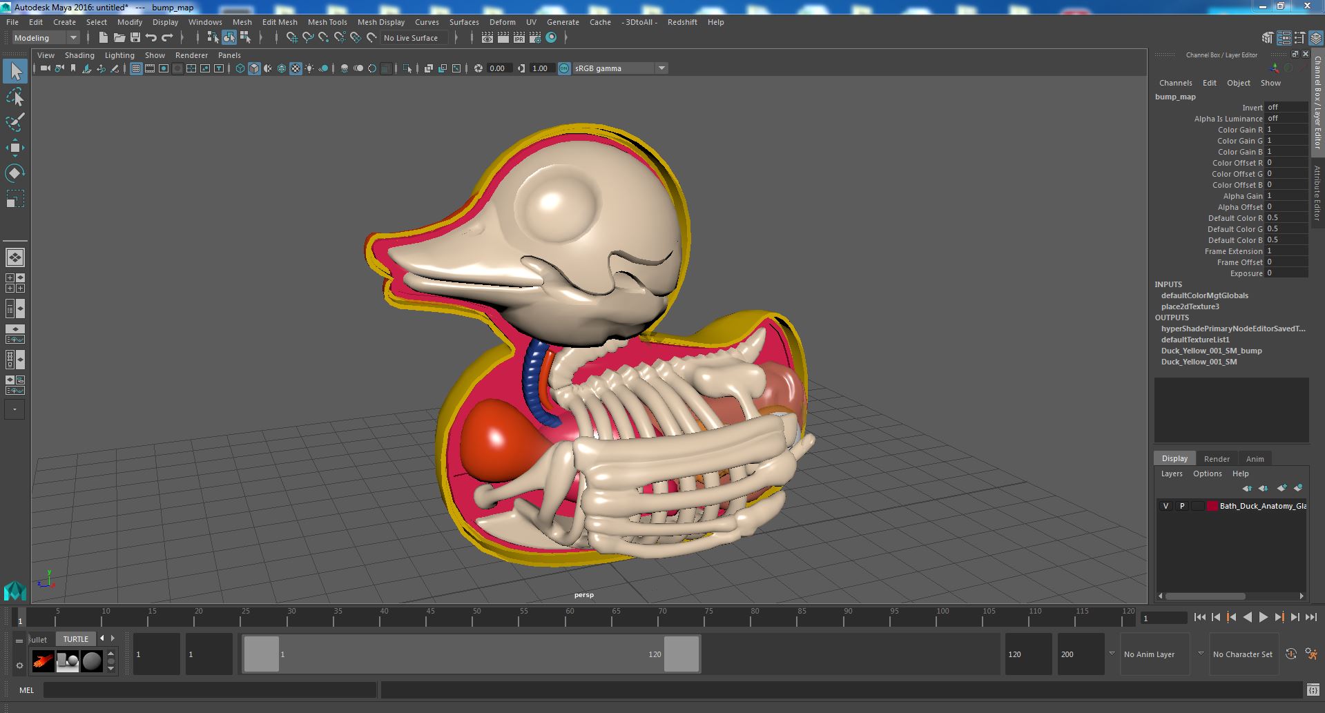 Bath Duck Anatomy Glass Half Shell 3D model