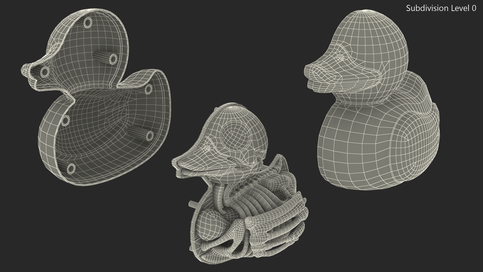 Bath Duck Anatomy Glass Half Shell 3D model