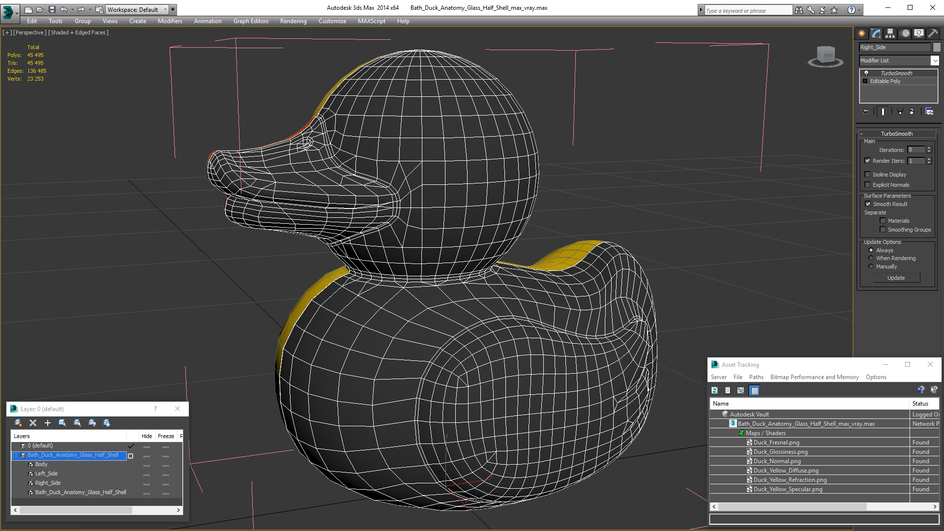 Bath Duck Anatomy Glass Half Shell 3D model