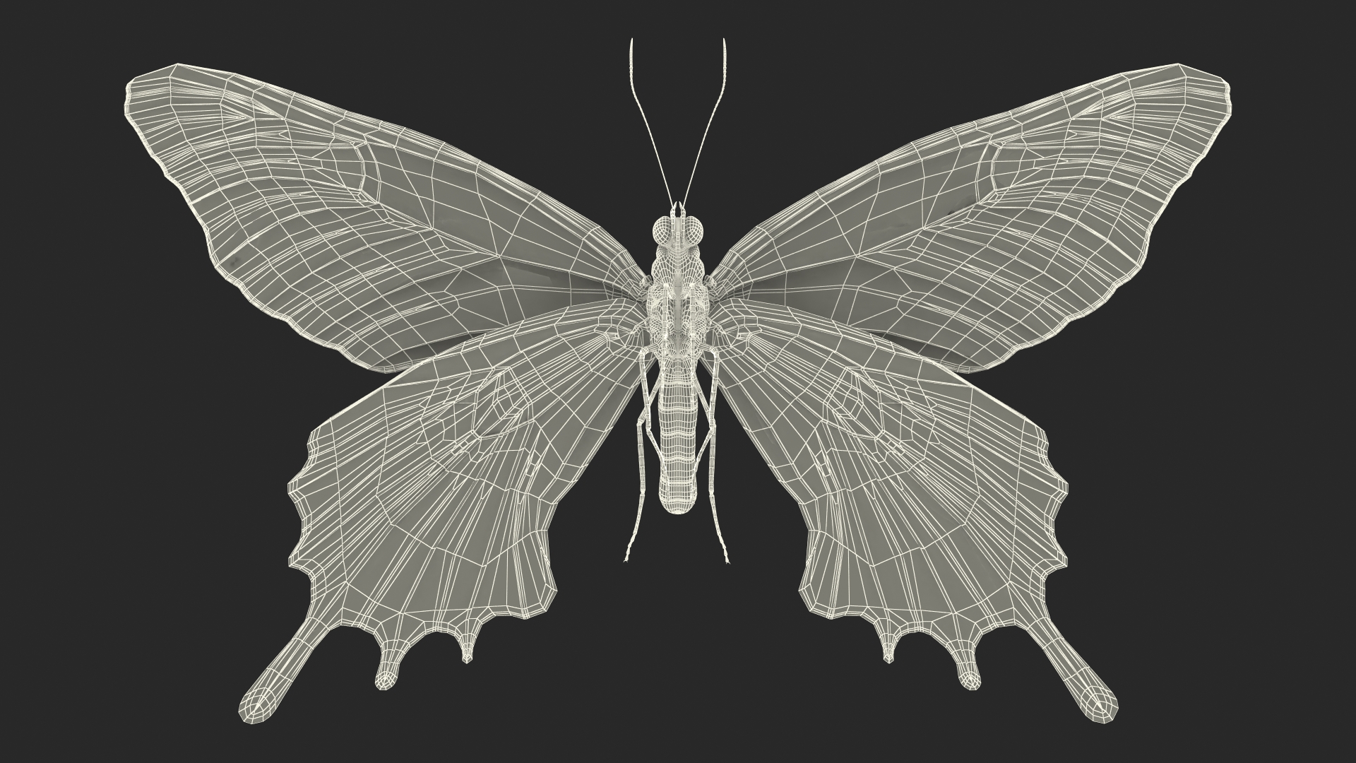 3D model Animated Flight Bhutan Glory Butterfly Rigged
