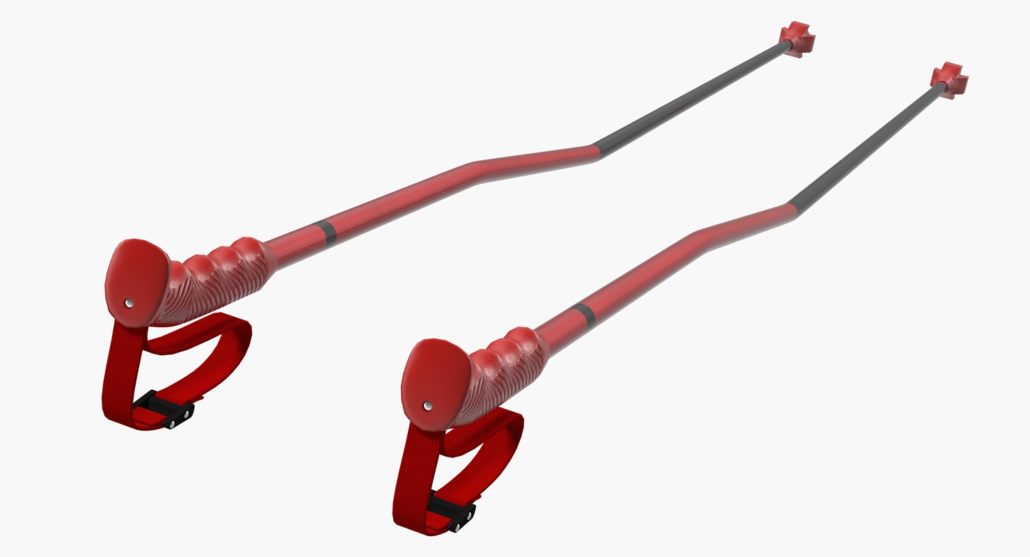 Ski Poles Generic 3D