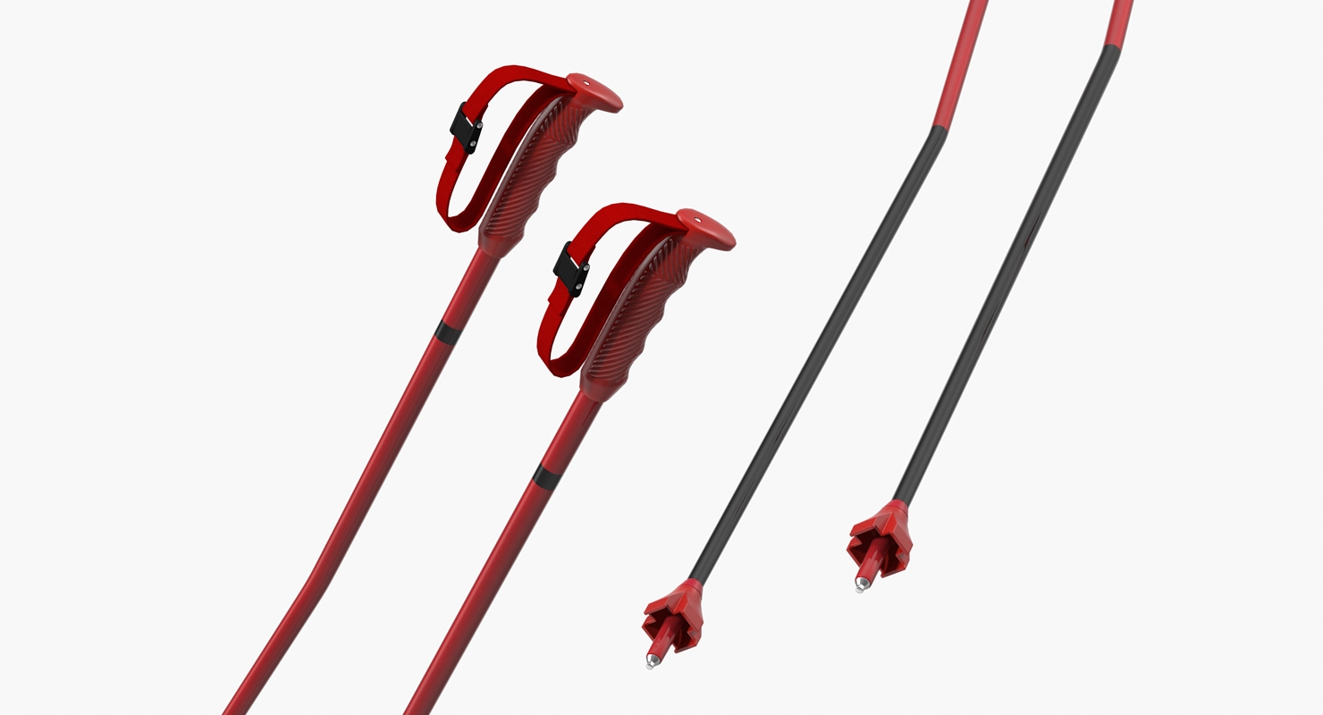 Ski Poles Generic 3D