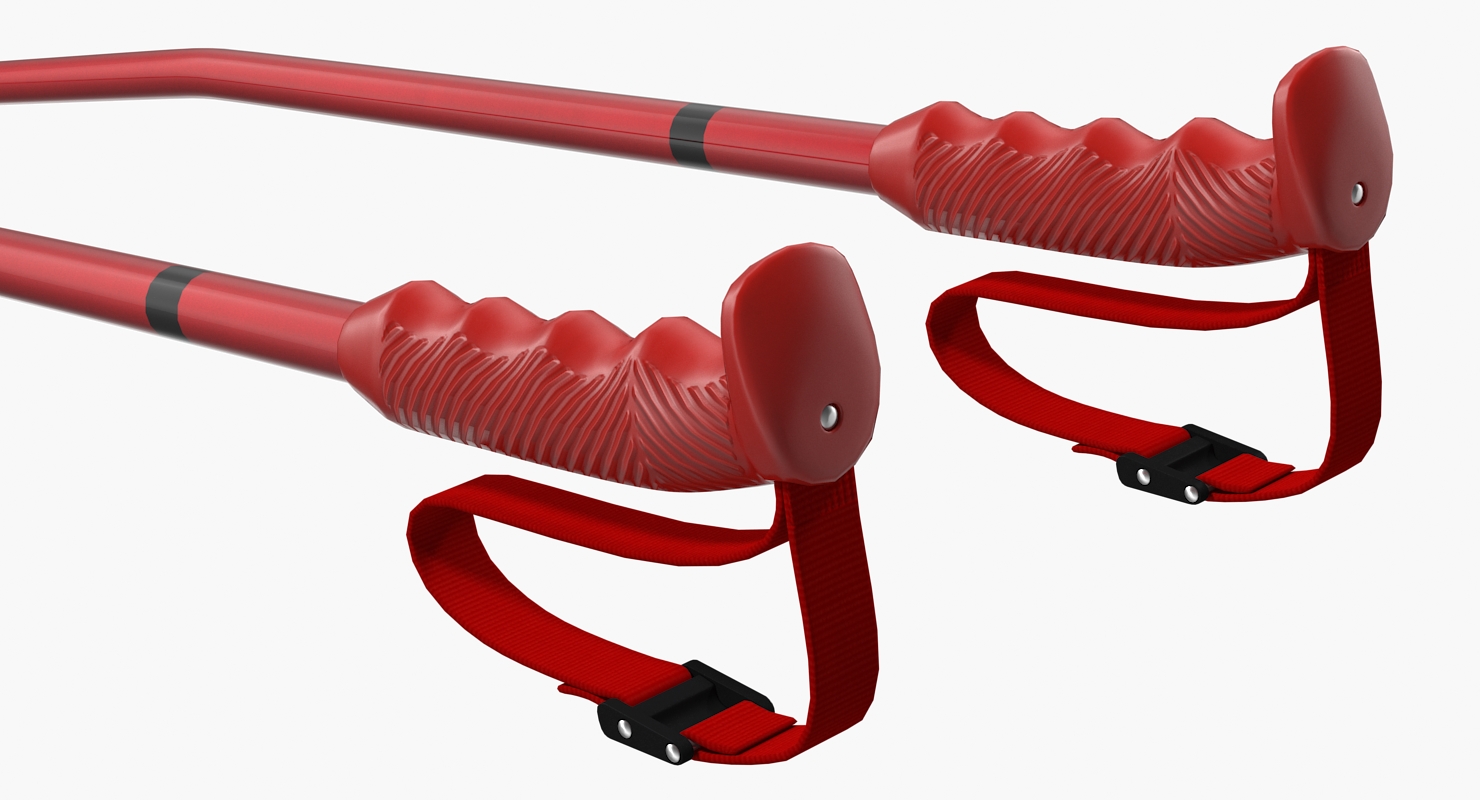 Ski Poles Generic 3D