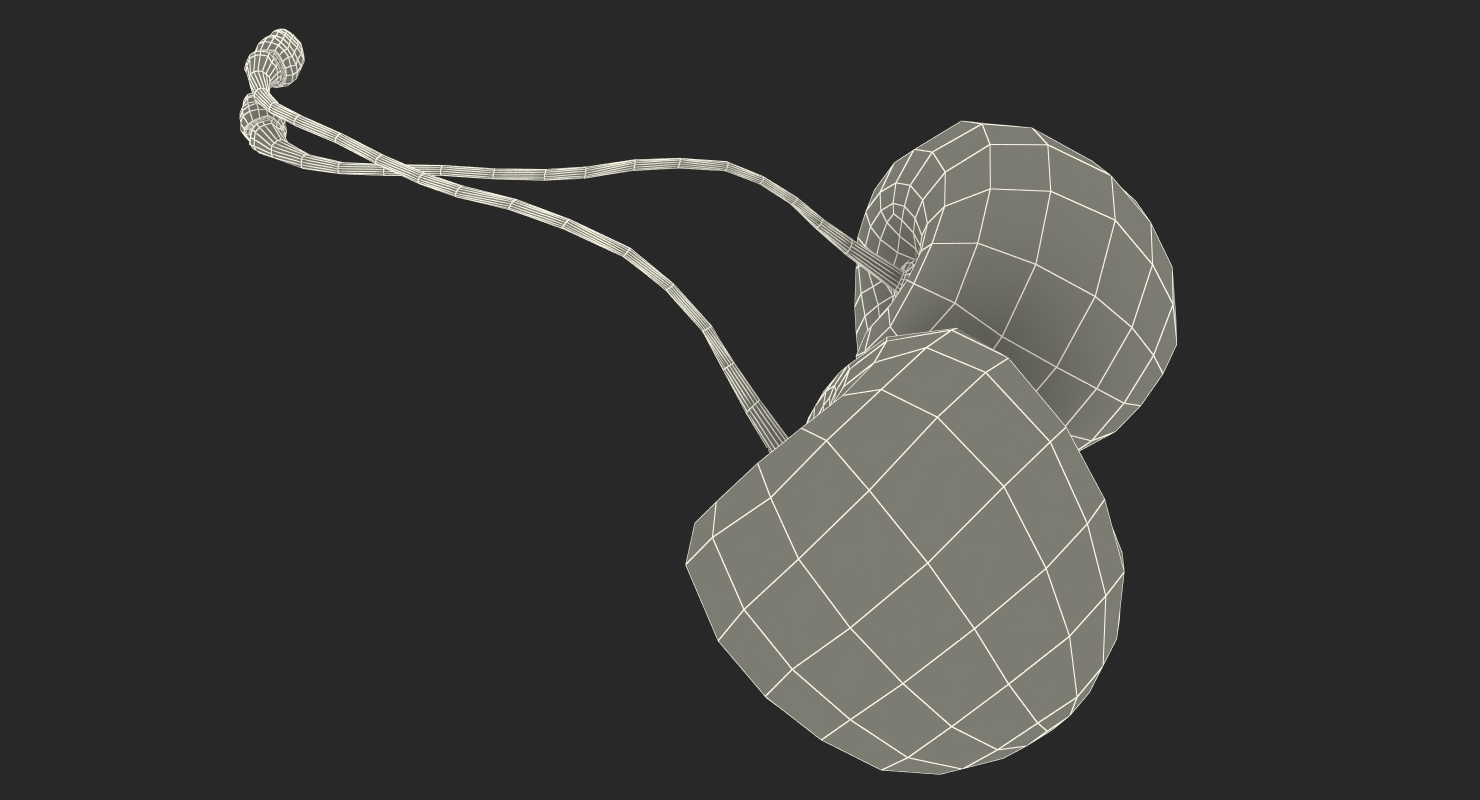 3D Sour Cherry