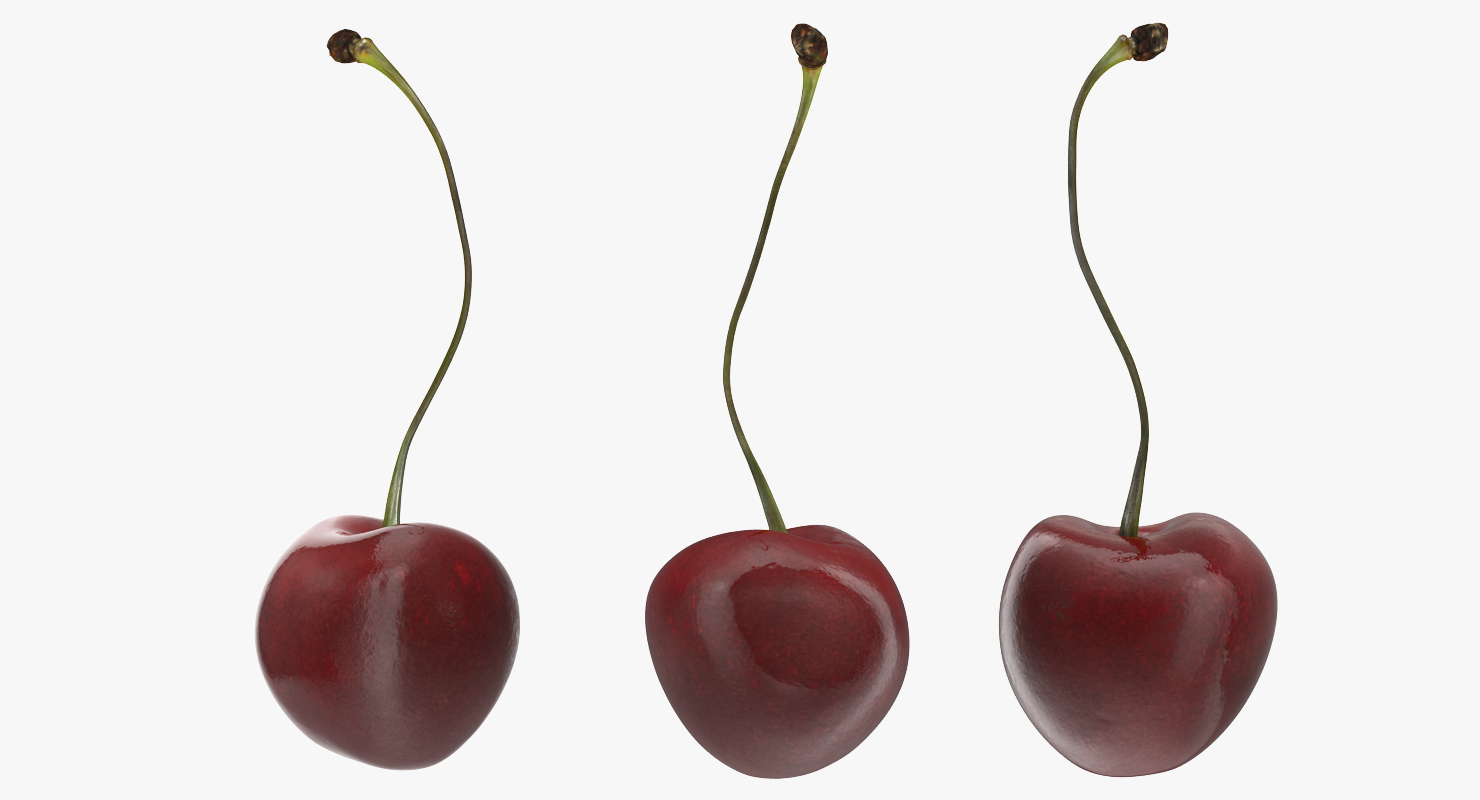 3D Sour Cherry