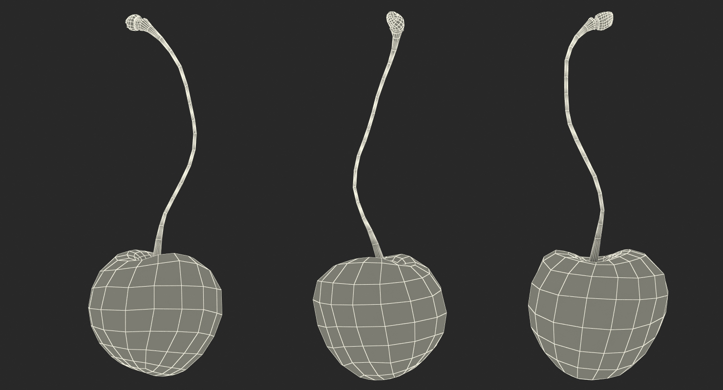 3D Sour Cherry
