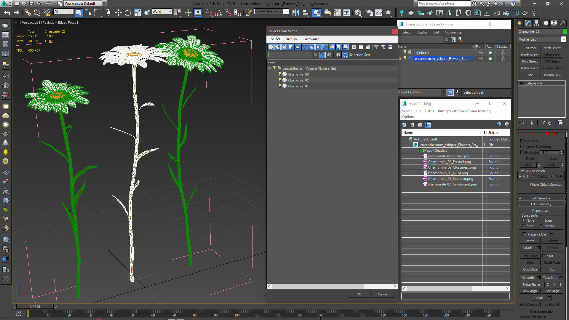 Leucanthemum Vulgare Flowers Set 3D