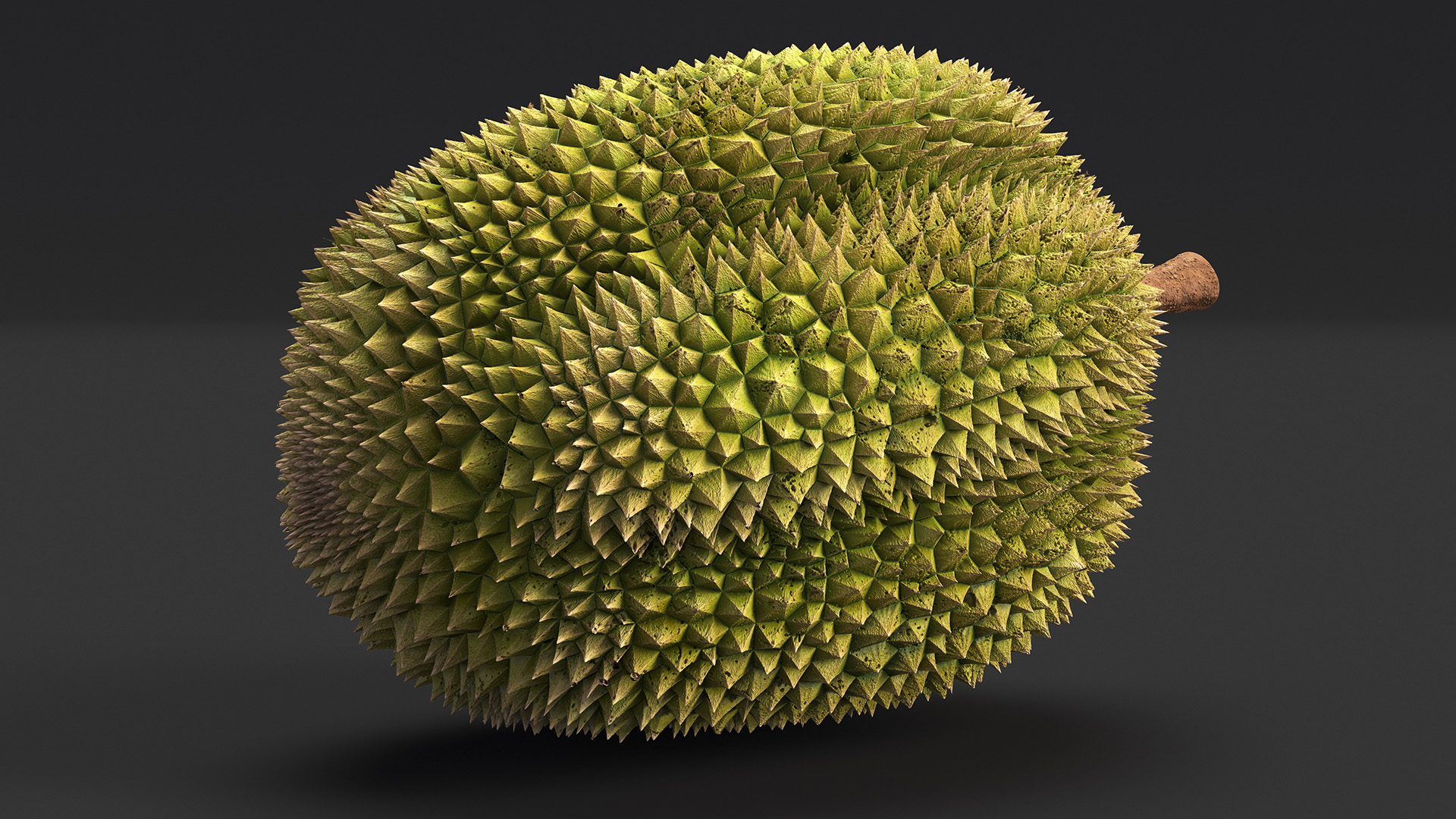 Ripe Durian Fruit 3D